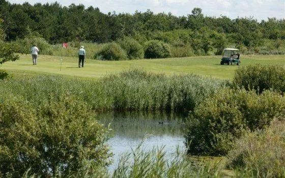 Golfcourse in Boutique Hotel Texel
