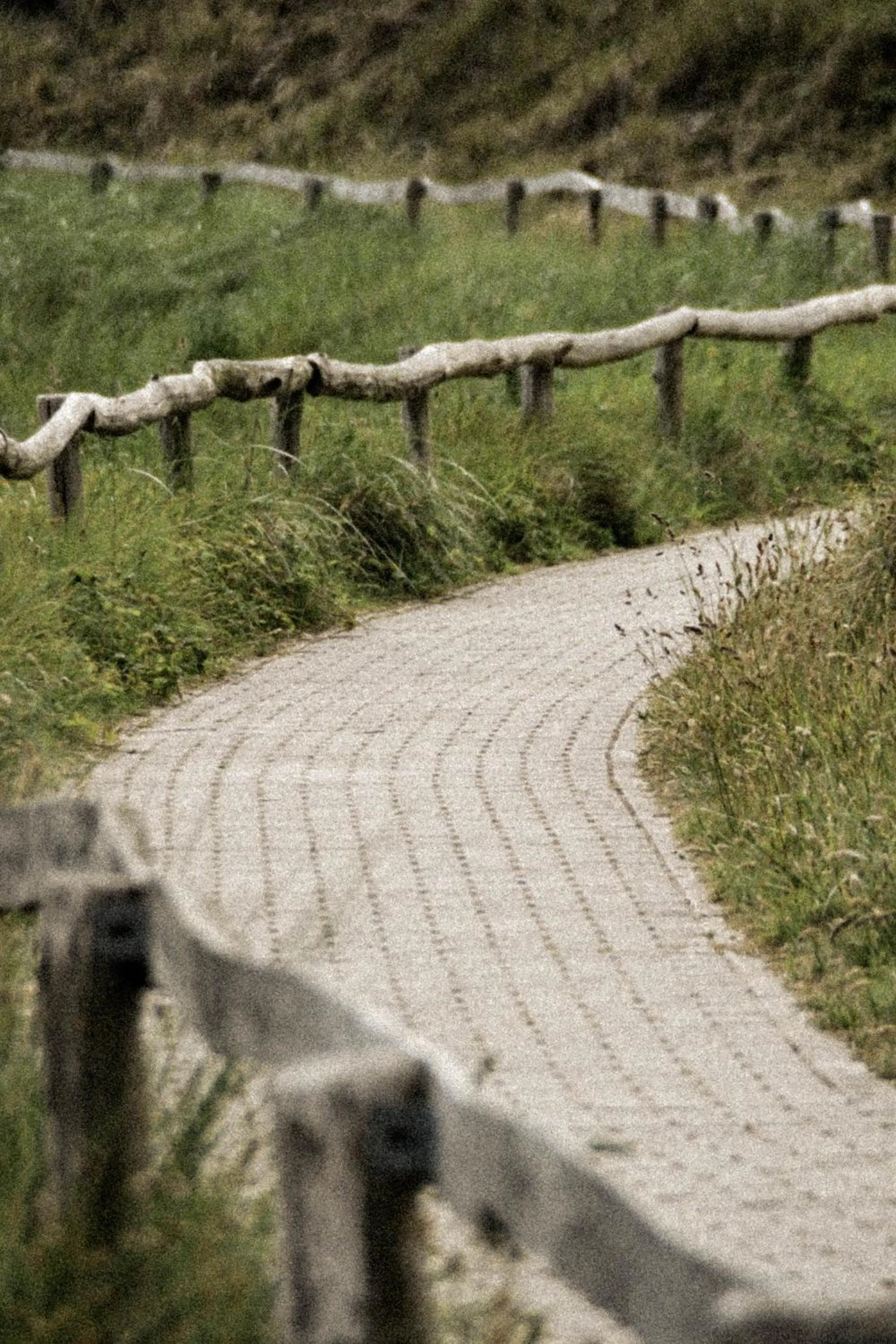 Other in Boutique Hotel Texel