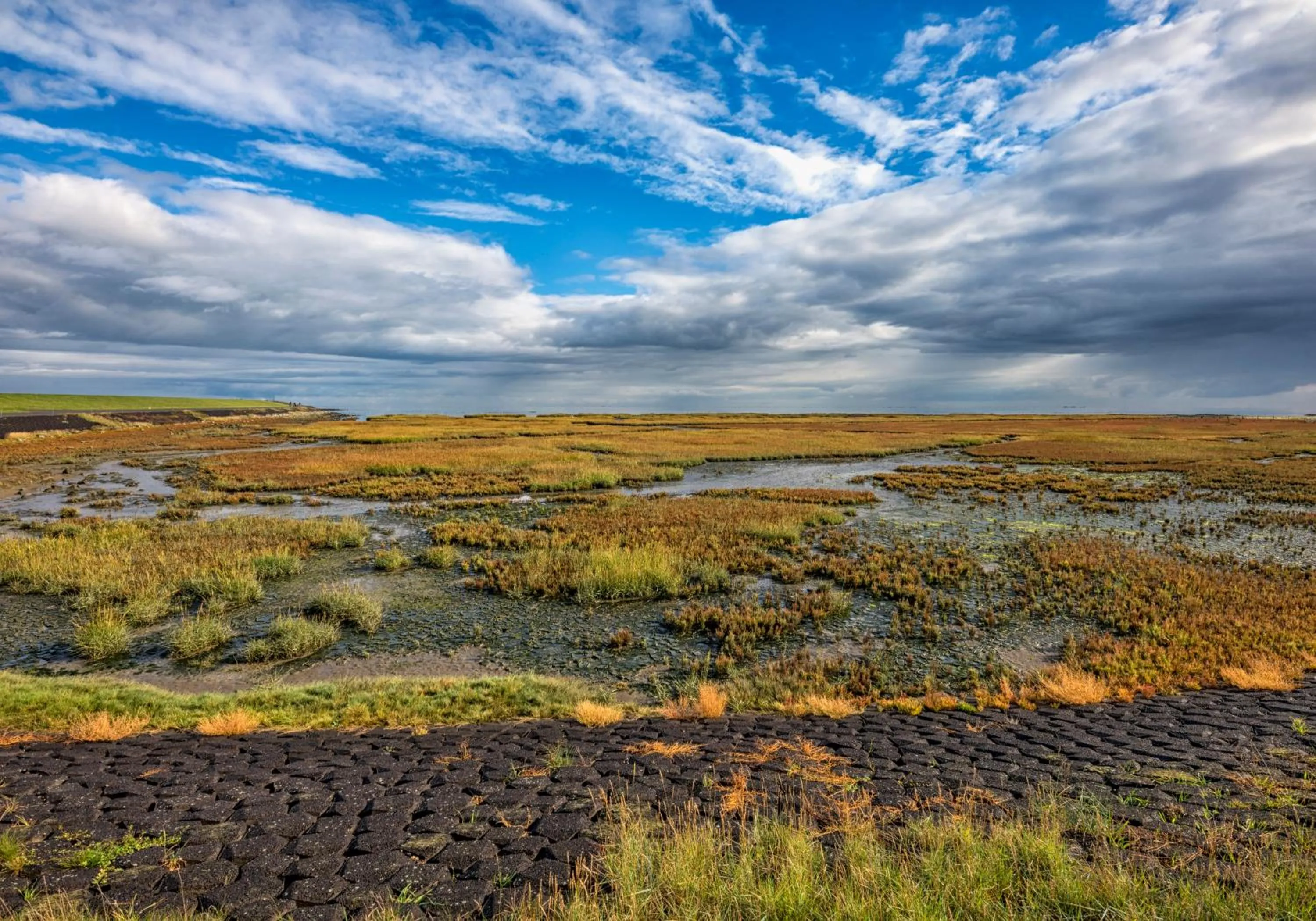 Other in Boutique Hotel Texel