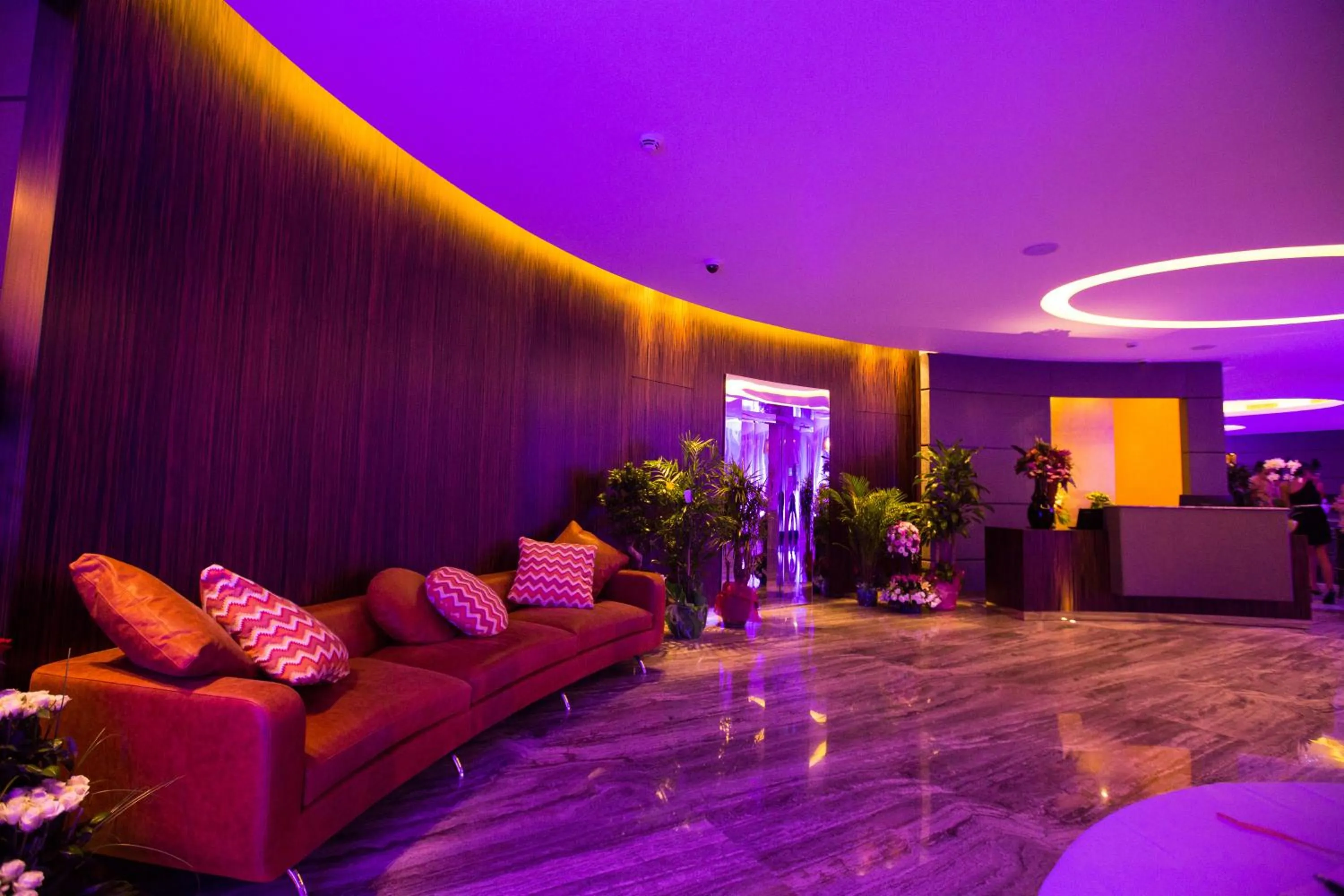 Lobby or reception in Monte Cassino