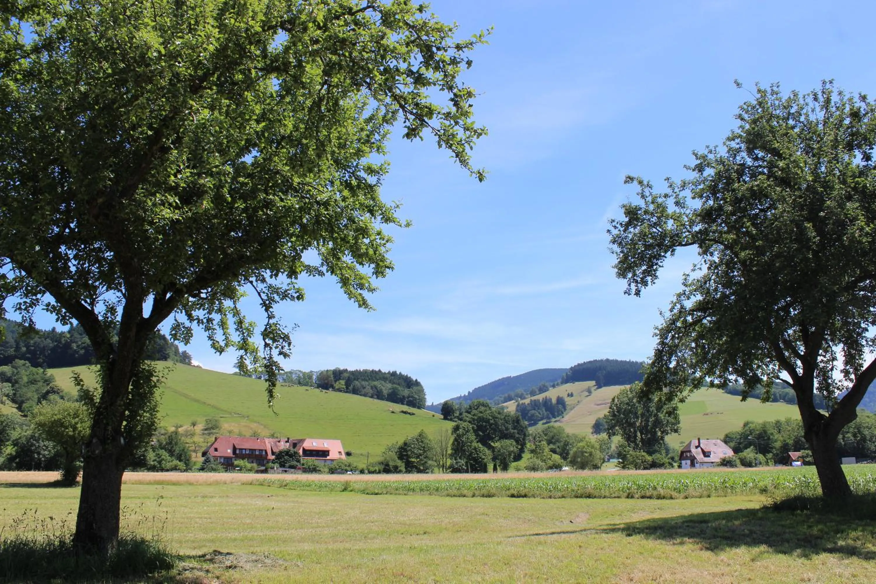 Natural landscape in Landgasthof zum Schützen