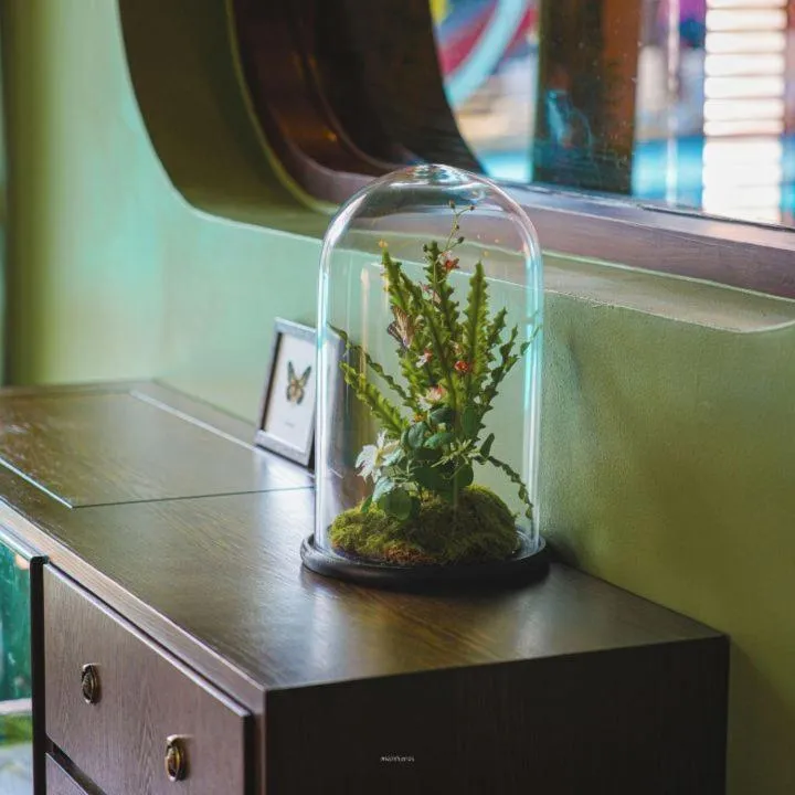 The Sea-Cret Garden Hua Hin