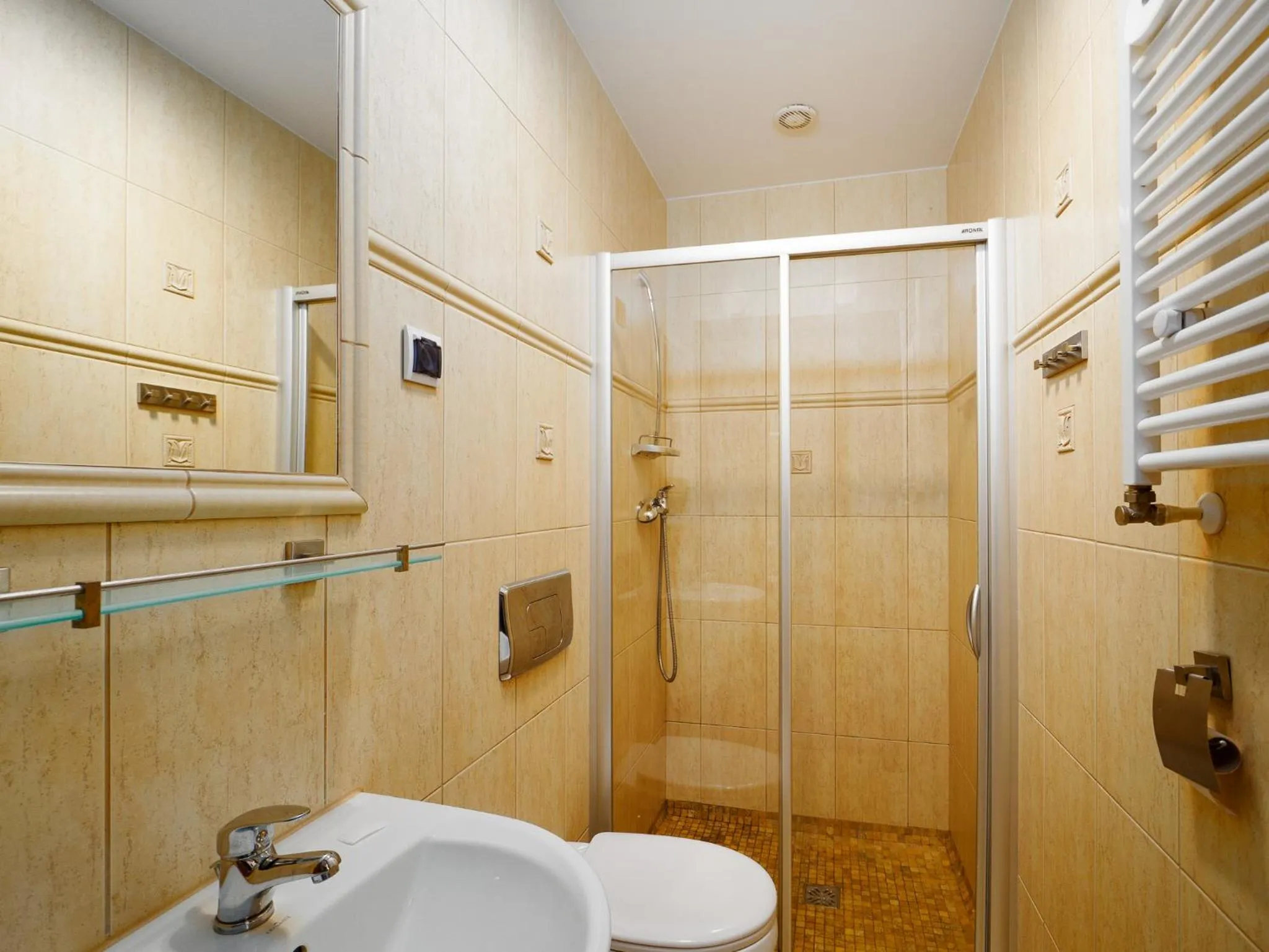 Shower in Zamek Międzylesie