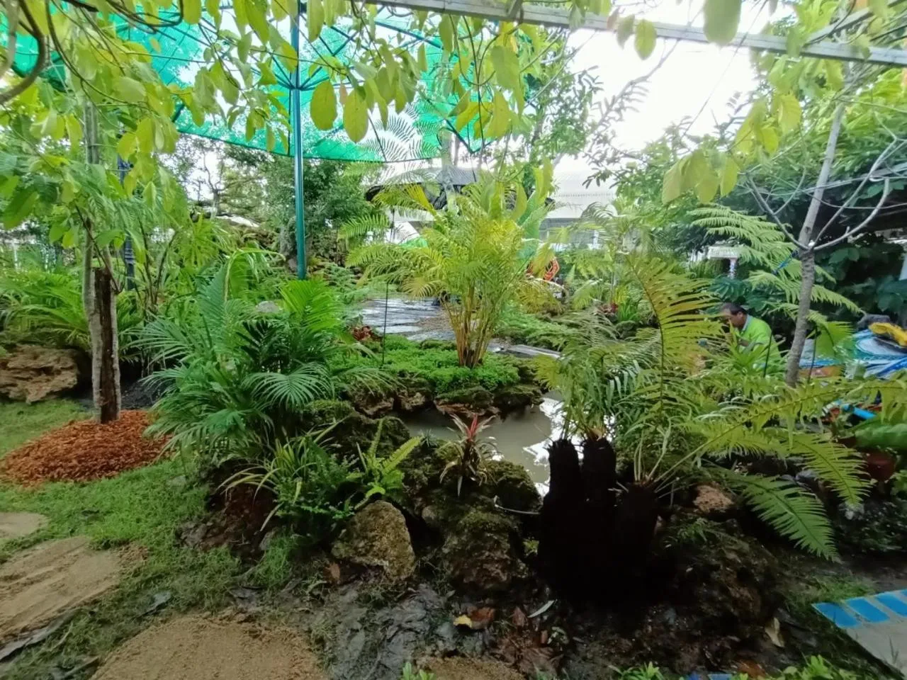 Garden in P.Paradise Hotel