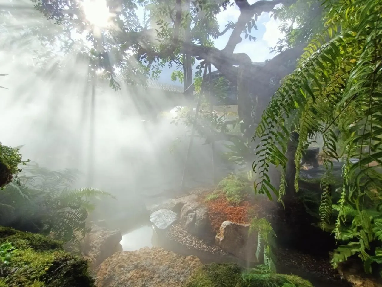 Garden in P.Paradise Hotel