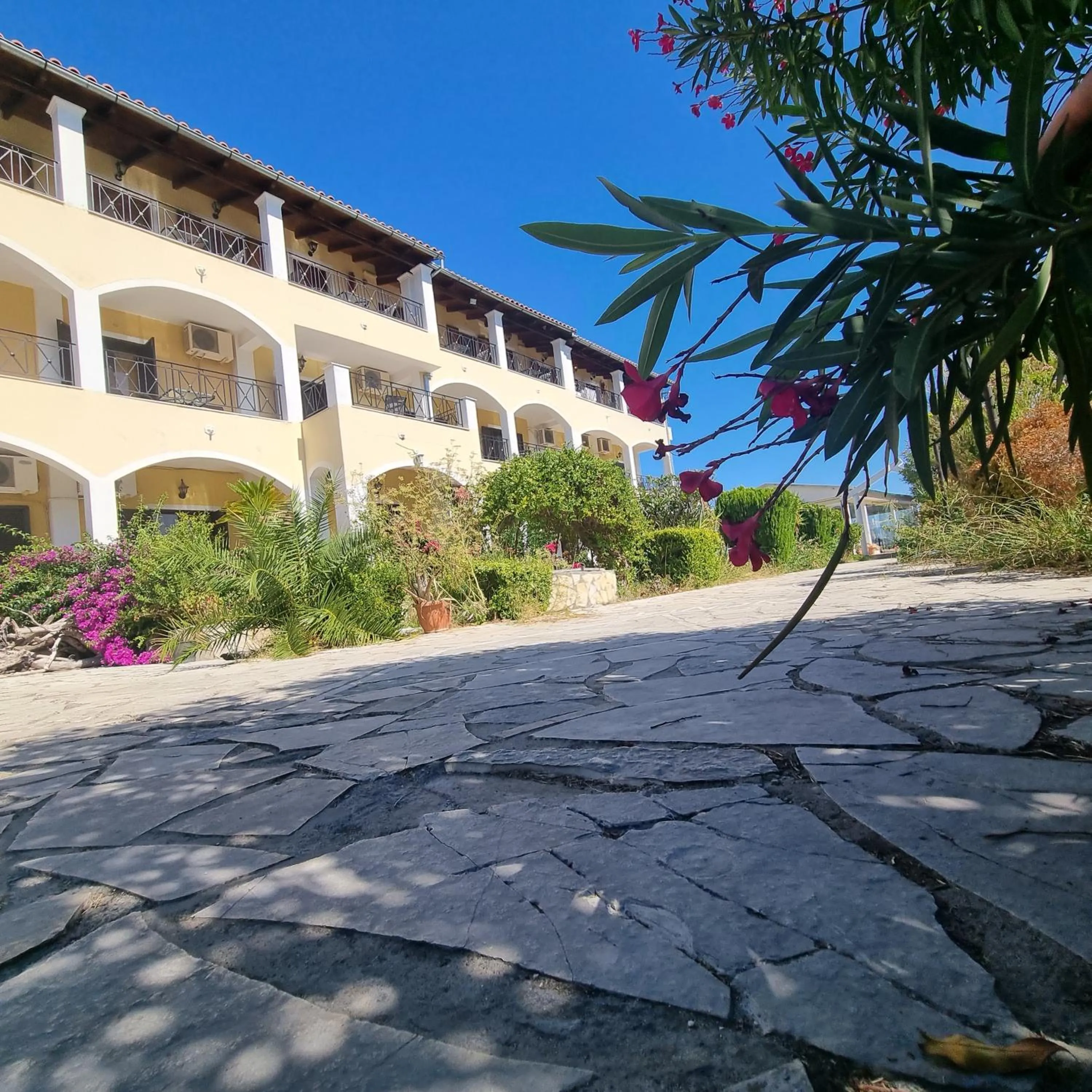Garden view in Blue Waves Corfu