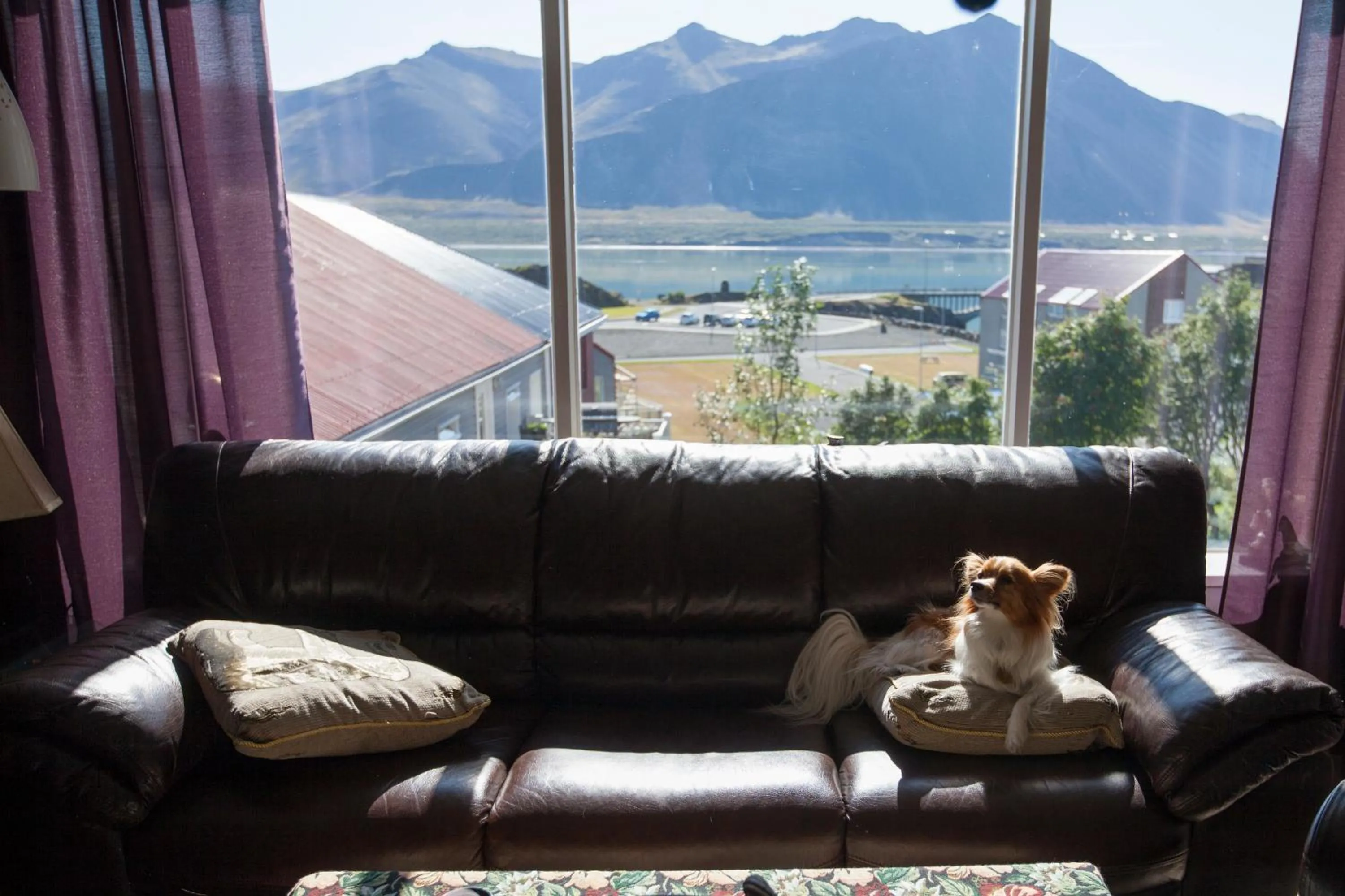 Living room in Blómasetrið Homestay