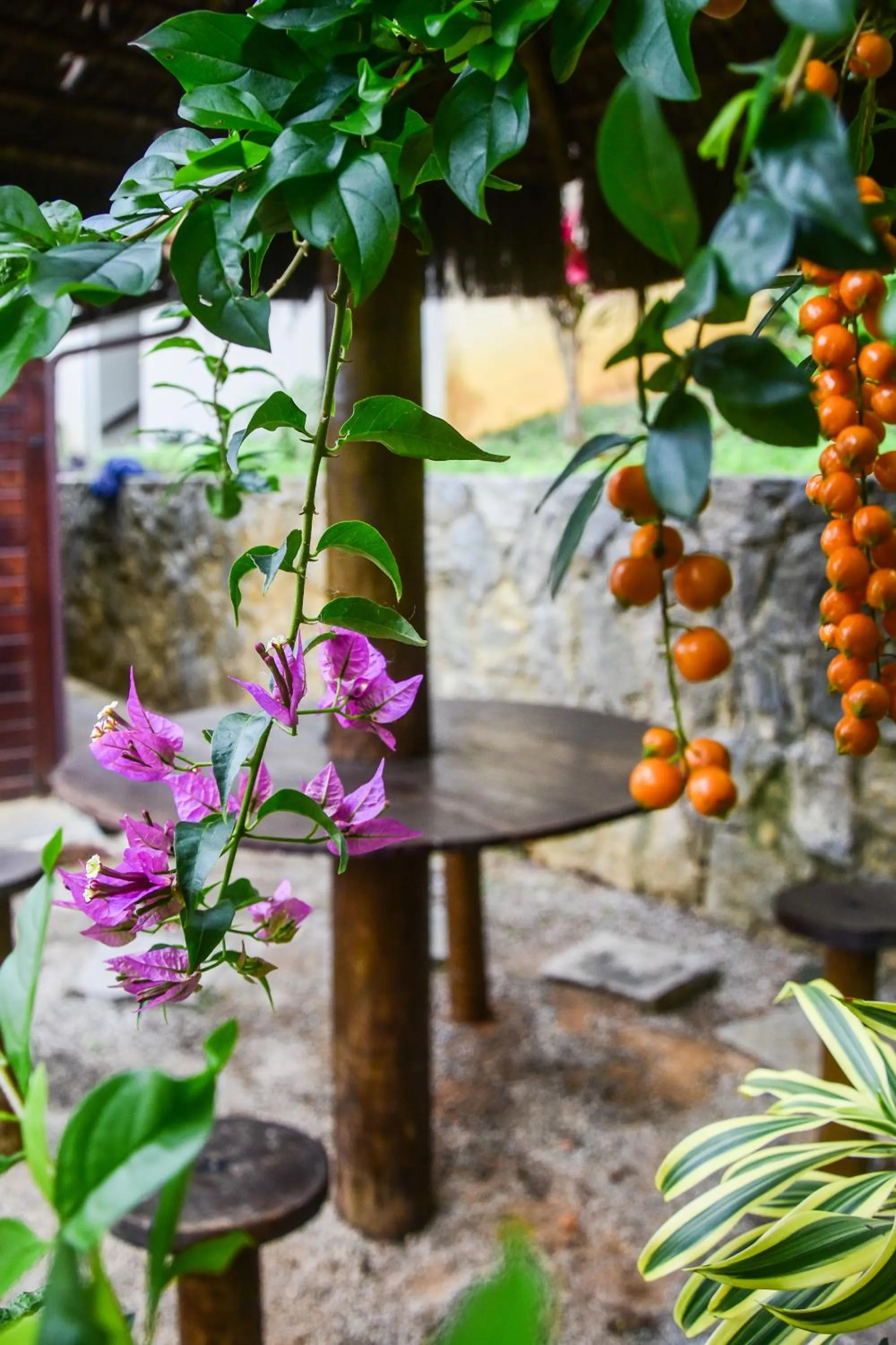 Pousada Juannas Buzios