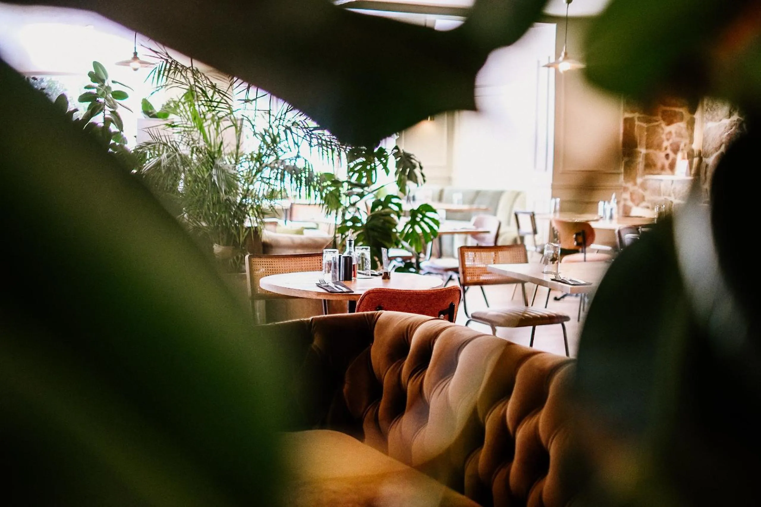 Restaurant/places to eat in Dartmoor Lodge Hotel