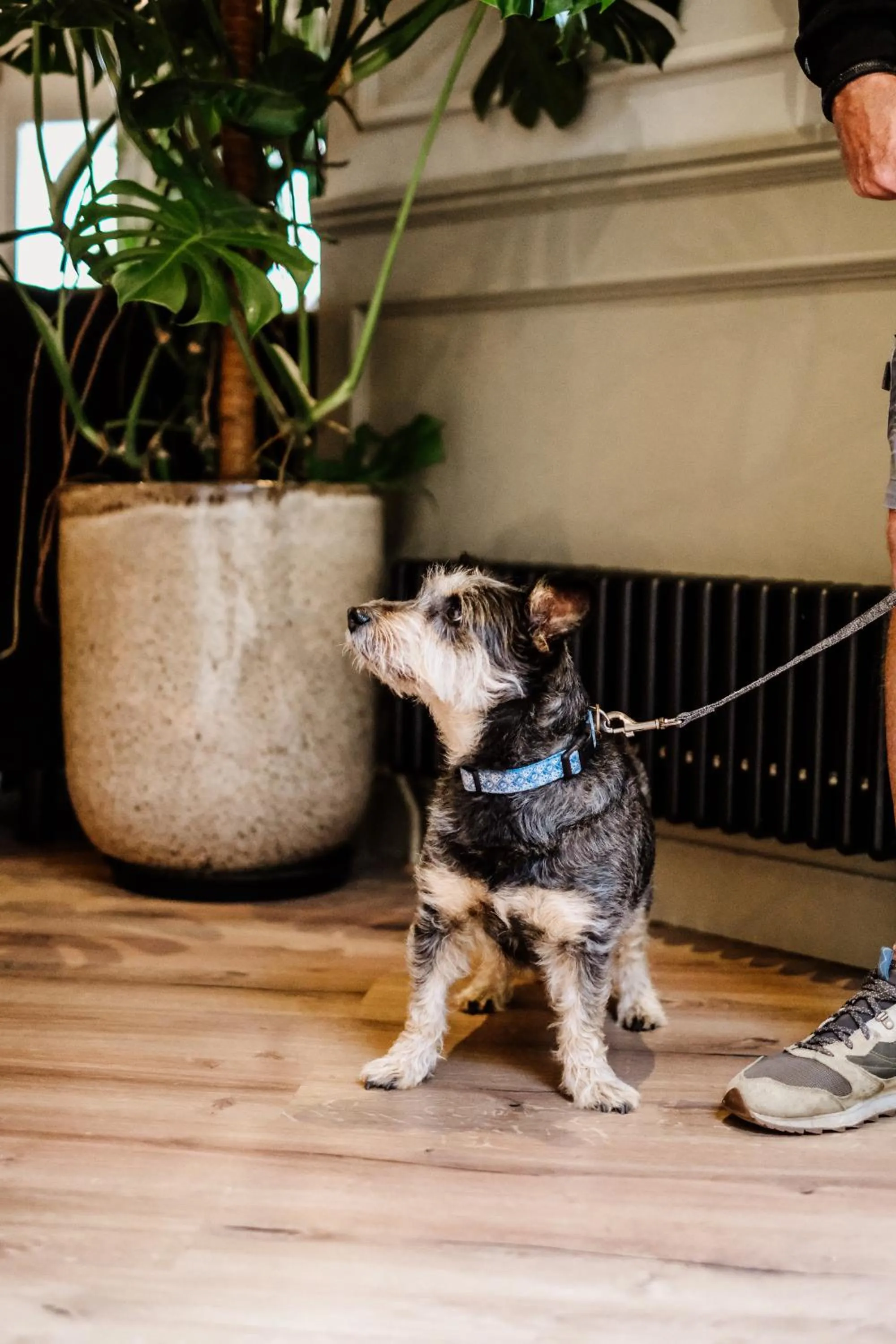 Dartmoor Lodge Hotel