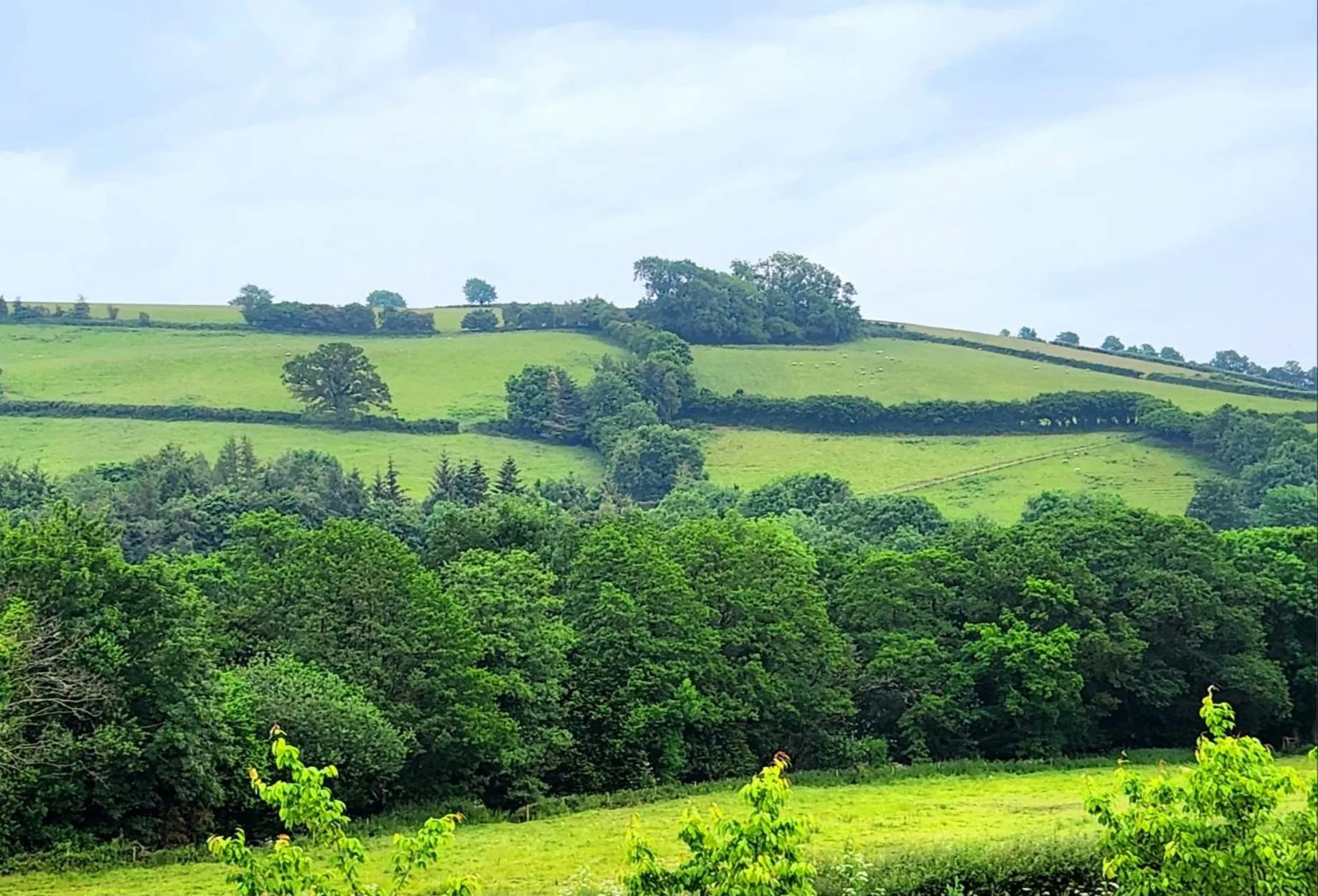 Natural landscape in Dartmoor Lodge Hotel
