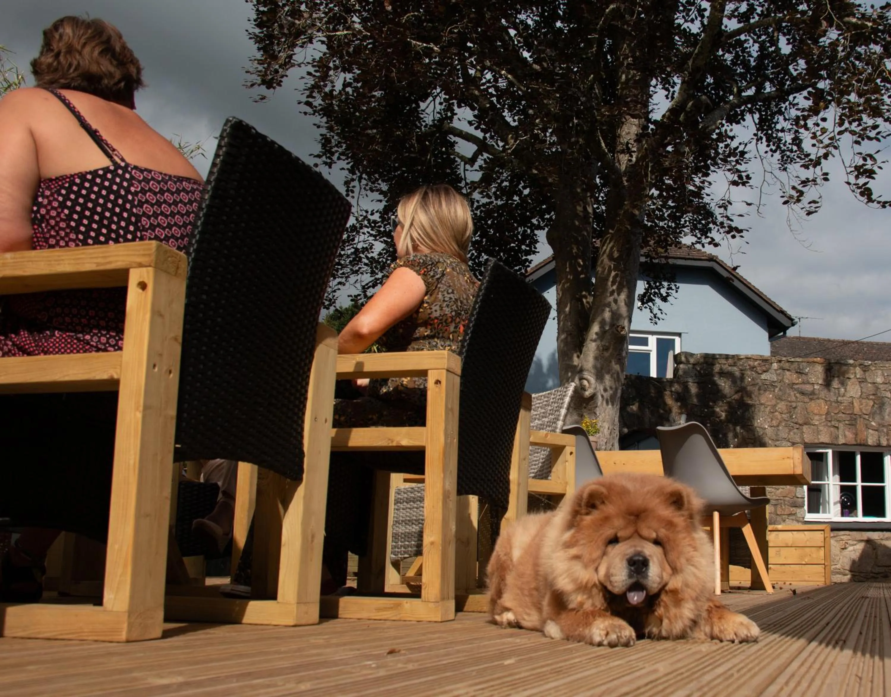 Day in Dartmoor Lodge Hotel