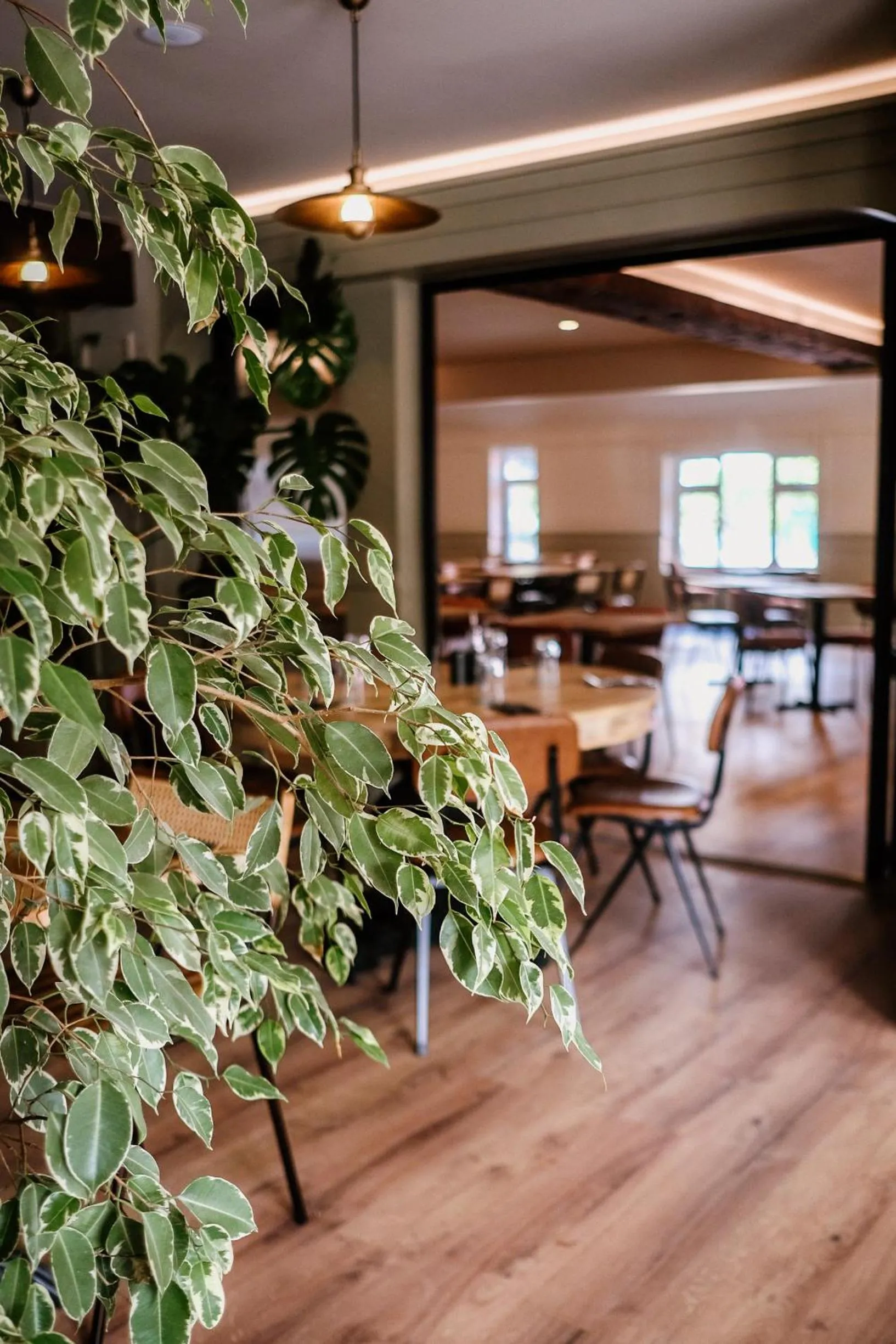 Dining area in Dartmoor Lodge Hotel