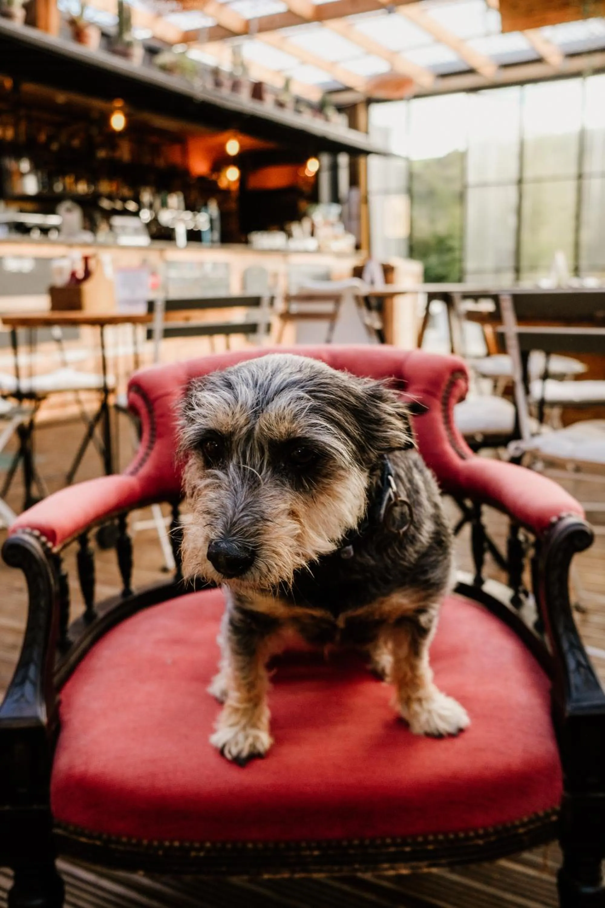 Dartmoor Lodge Hotel