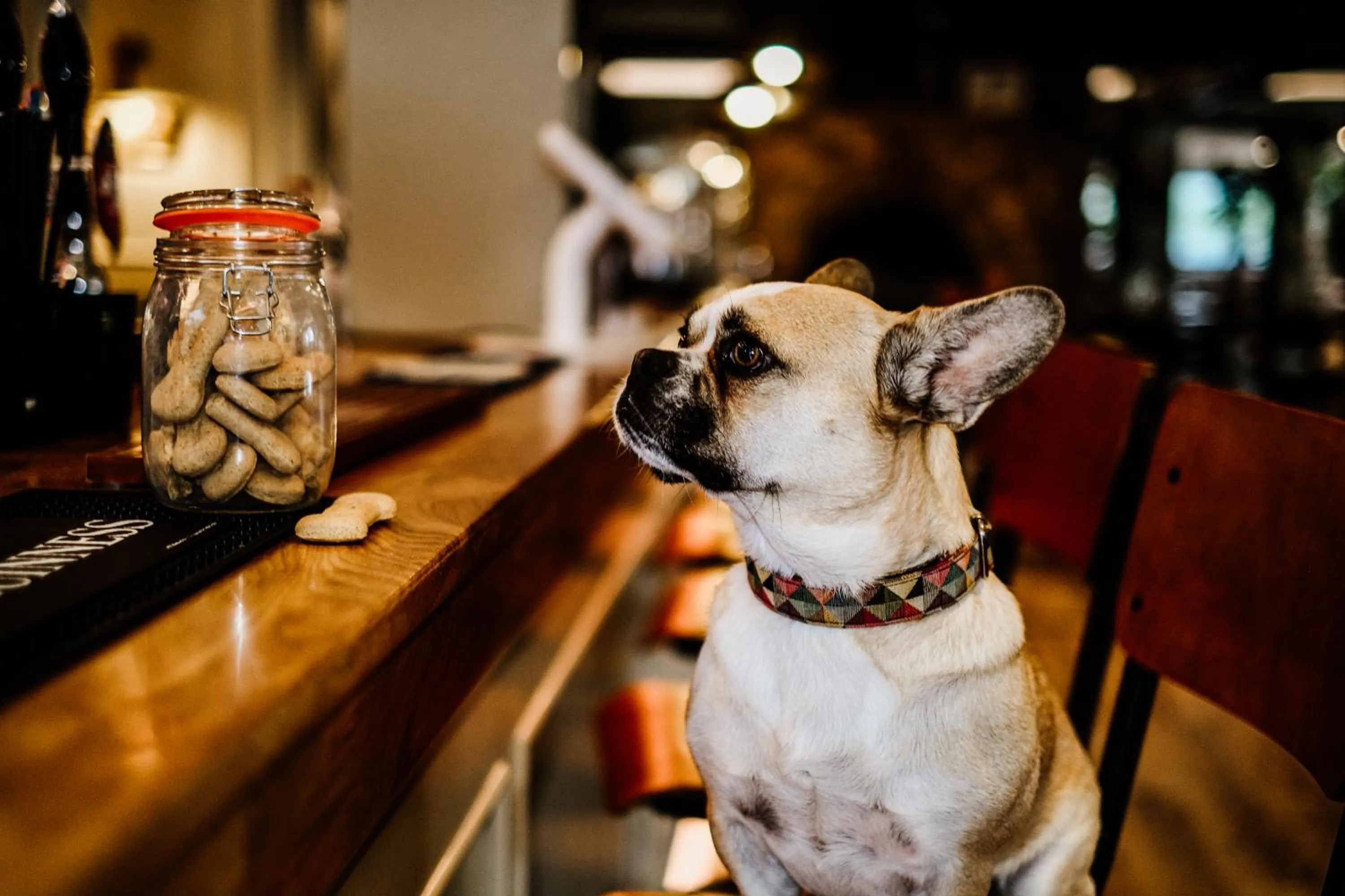 Dartmoor Lodge Hotel