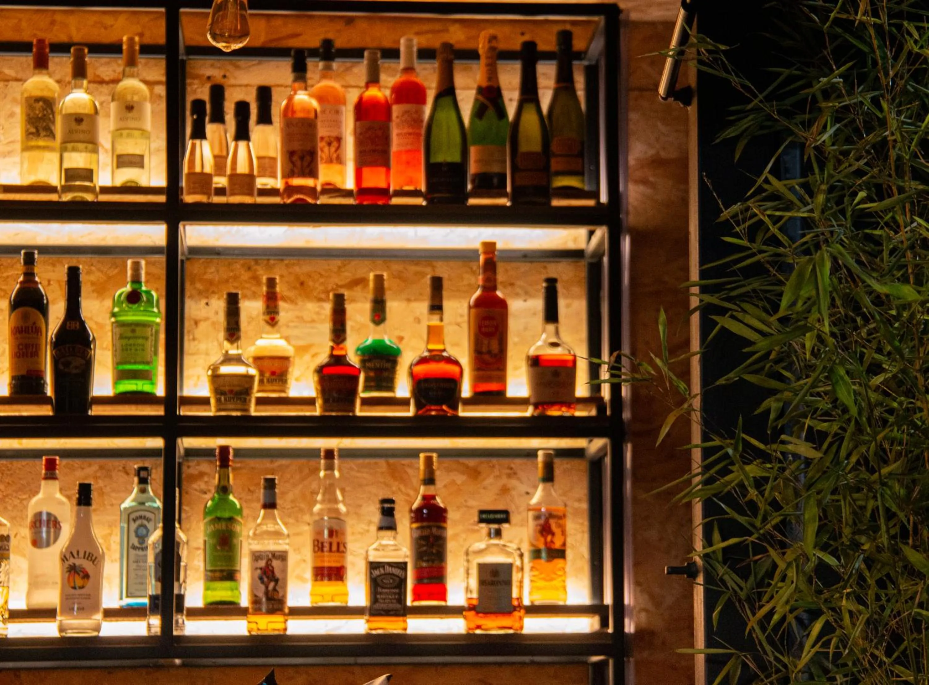 Lounge or bar in Dartmoor Lodge Hotel