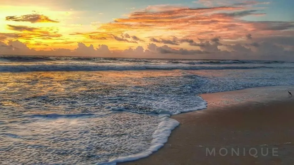 Natural landscape in The Beach House at Si Como No Inn