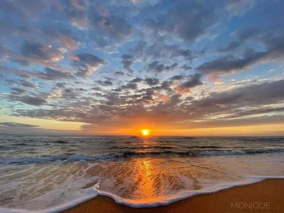 Restaurant/places to eat in The Beach House at Si Como No Inn