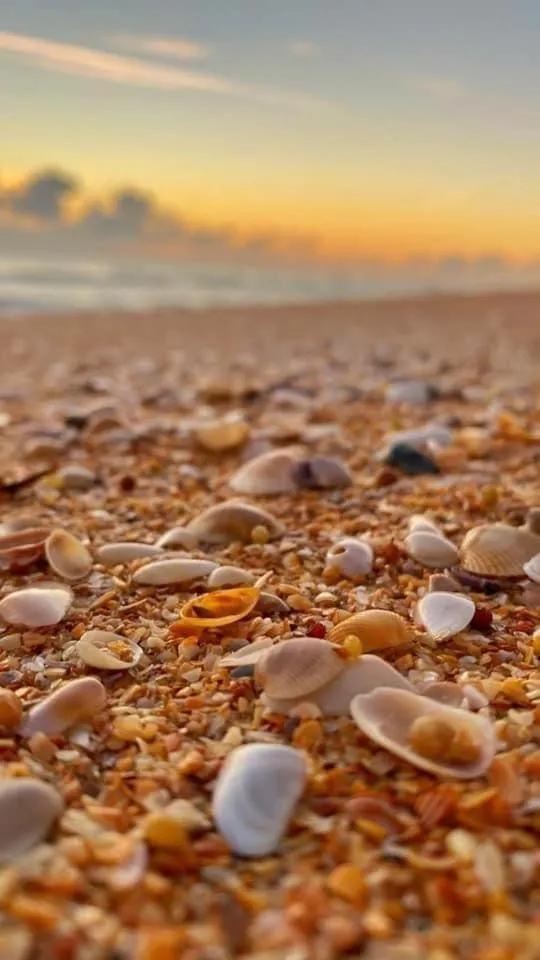 Beach in The Beach House at Si Como No Inn