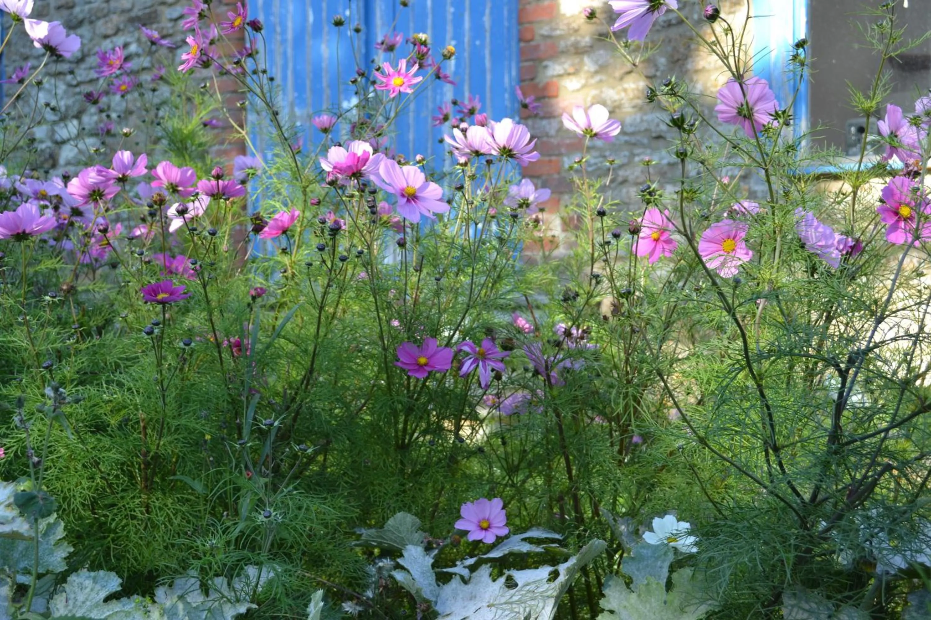 Natural landscape in Cotswolds Mine Hill House