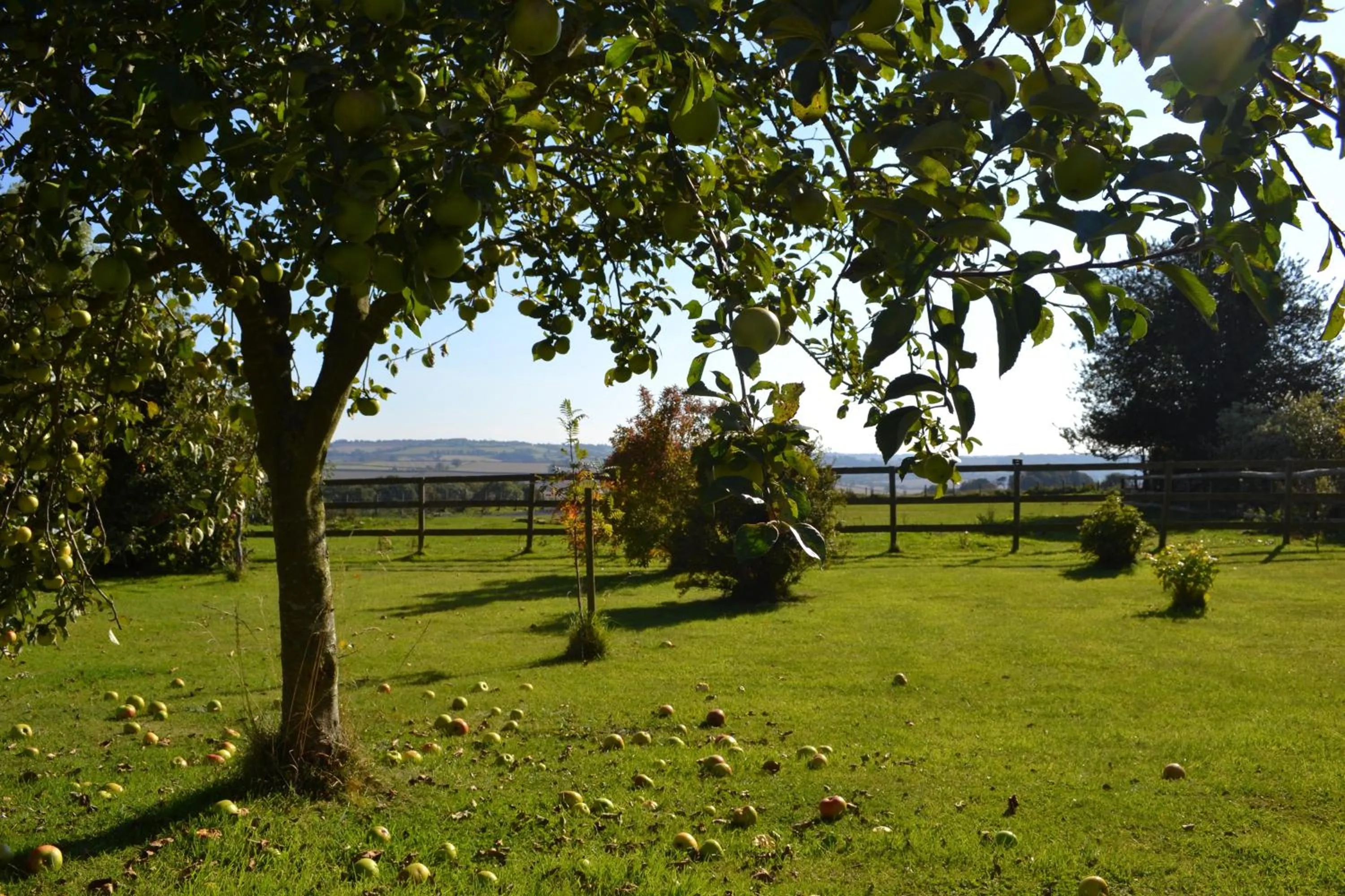 Garden view in Cotswolds Mine Hill House