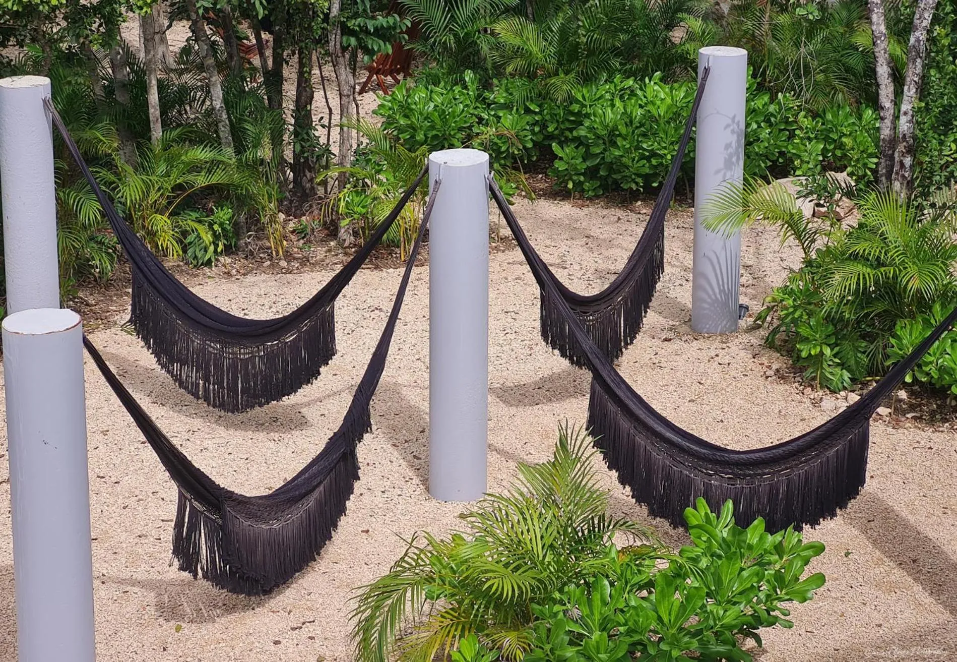 Garden in Seremonia Selva by The Spot Rentals
