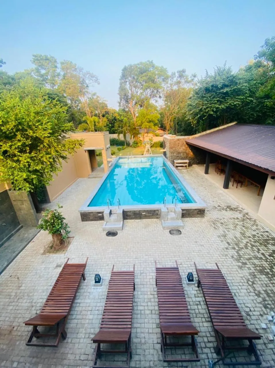 Swimming pool in Royal Nest