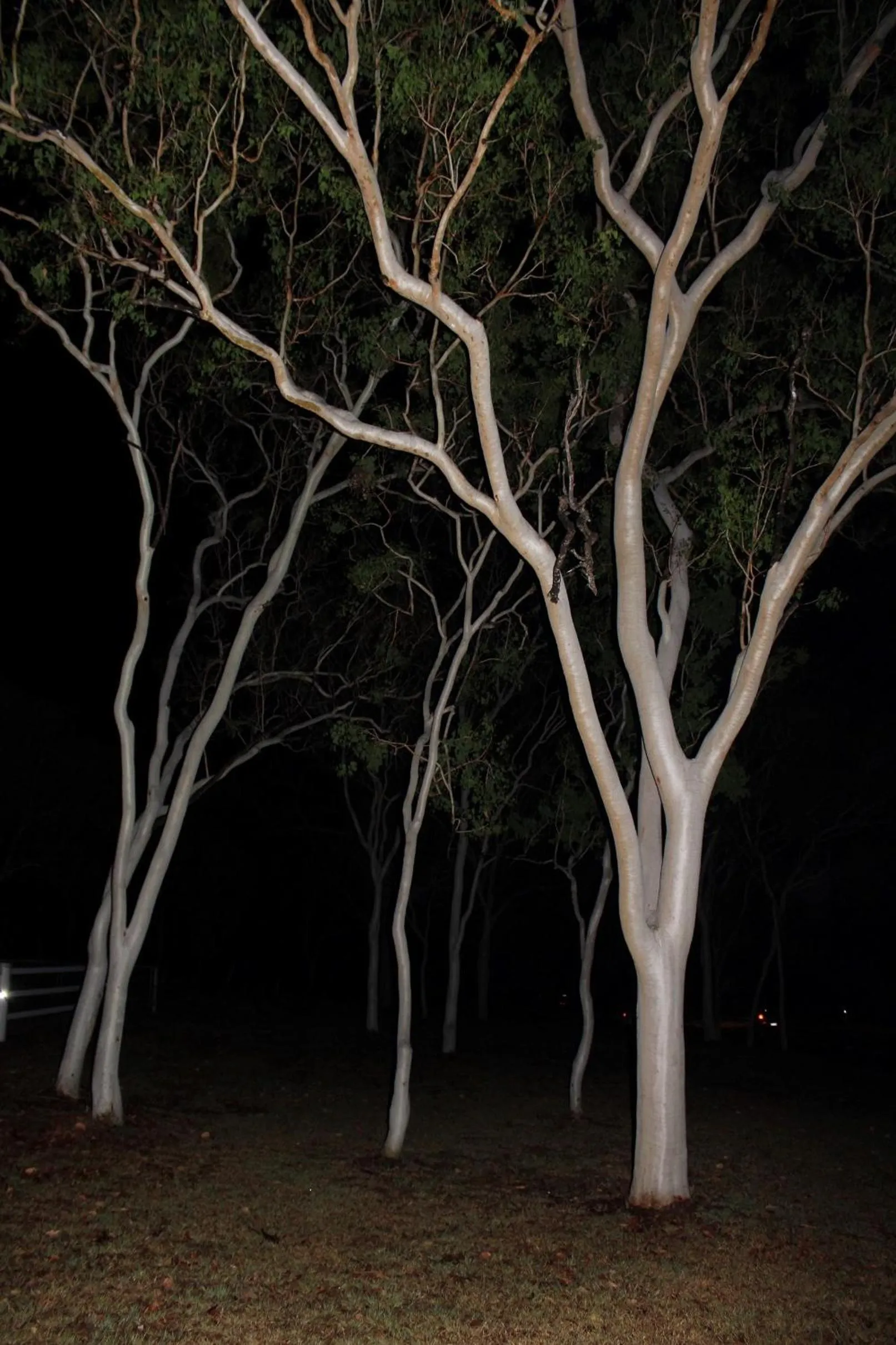 Area and facilities in Sunbird Motel