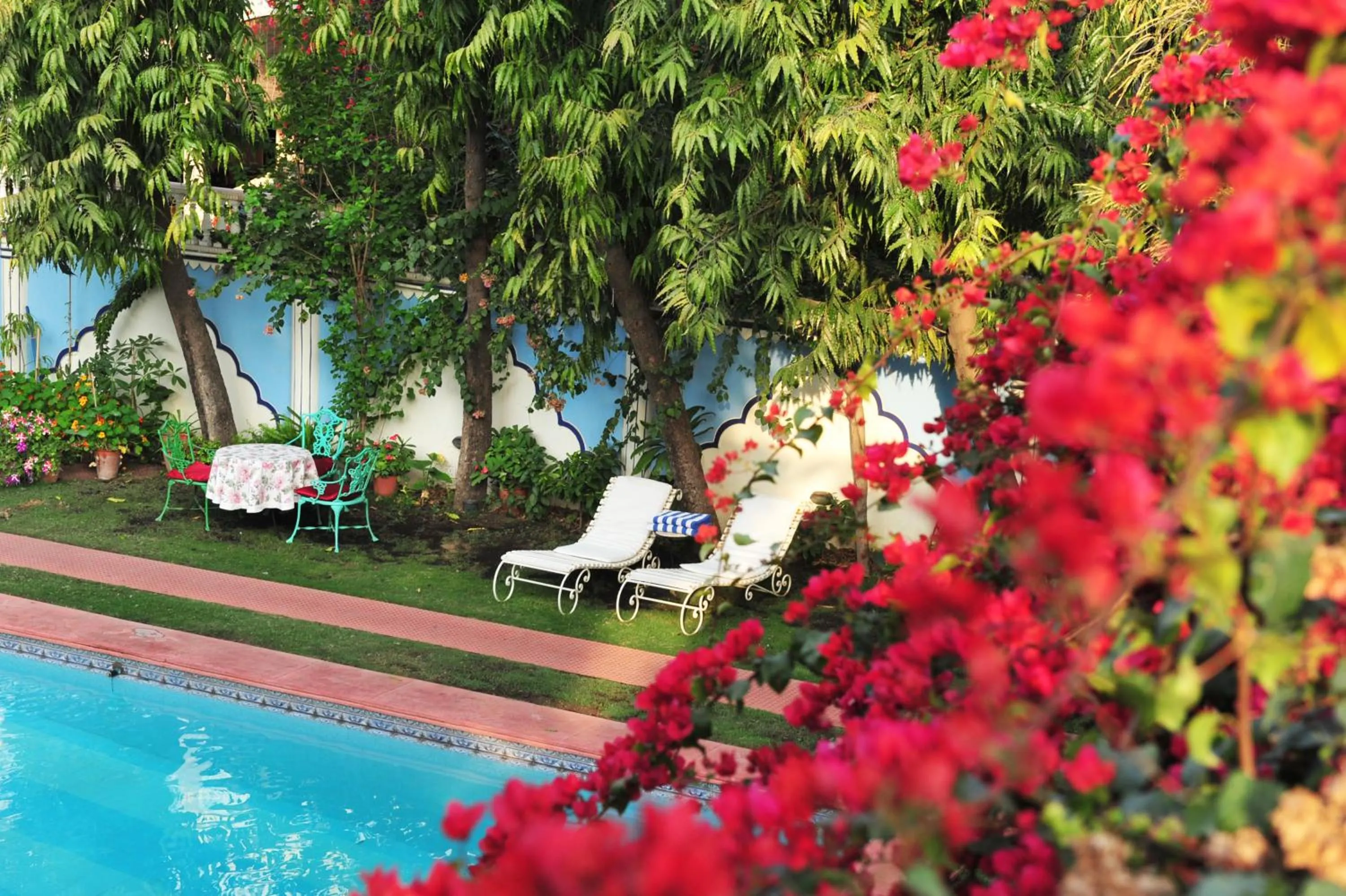 Garden in Hotel Meghniwas