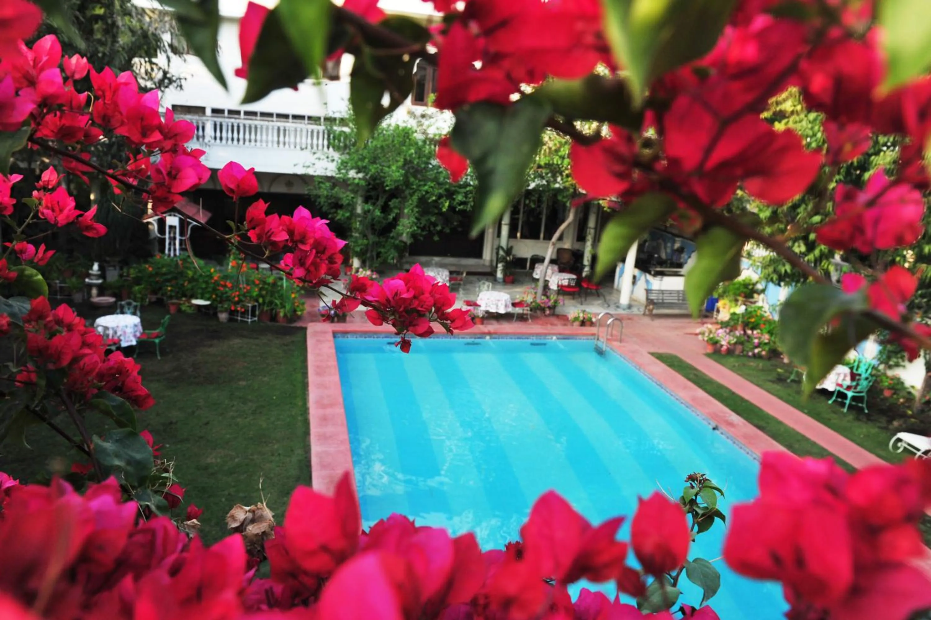 Swimming pool in Hotel Meghniwas