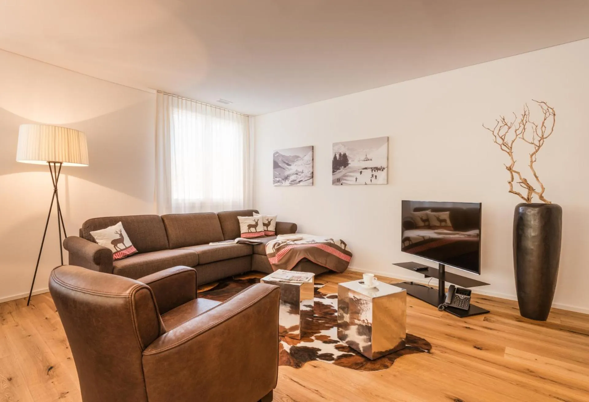 TV and multimedia in Andermatt Alpine Apartments