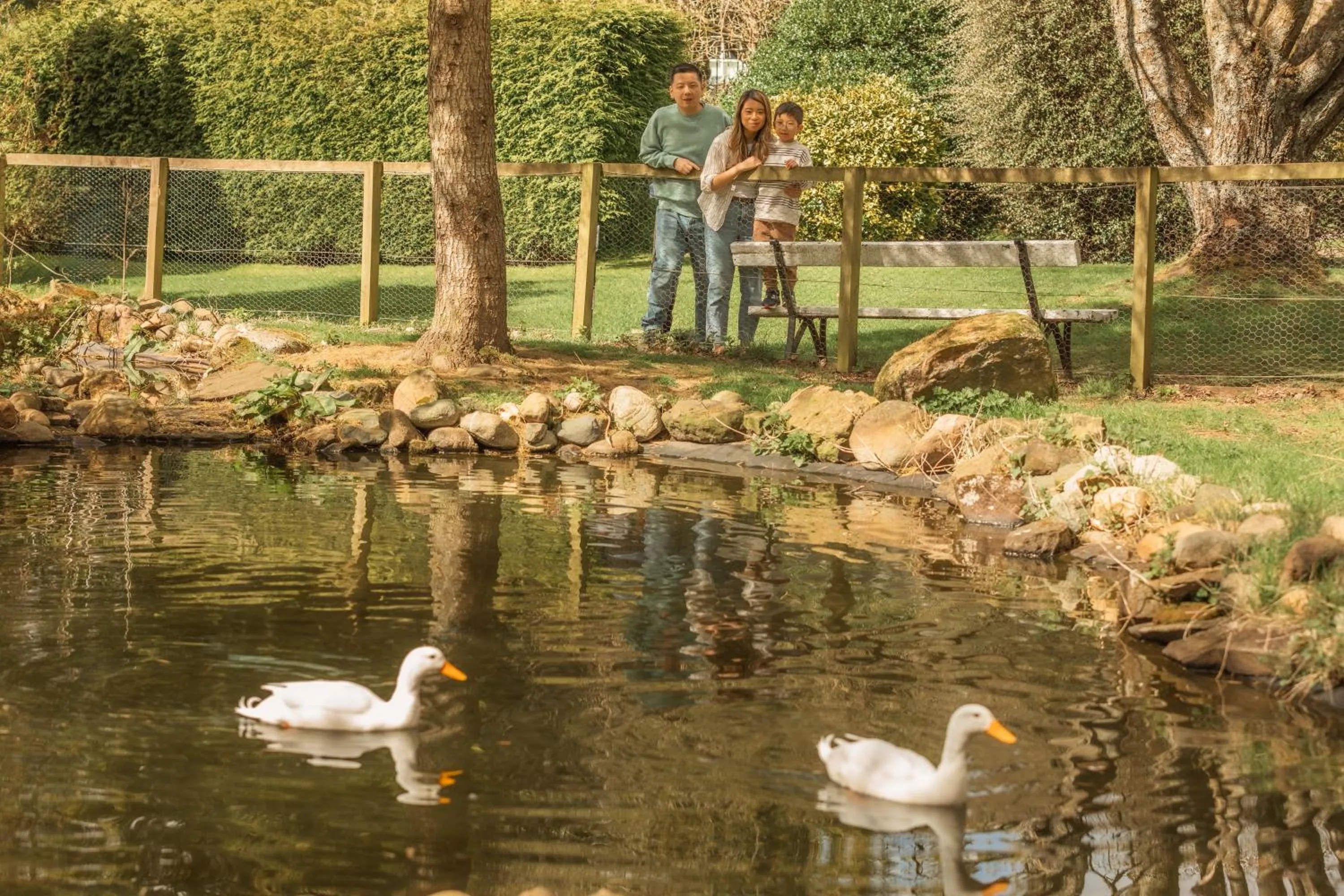 Natural landscape in Crieff Hydro