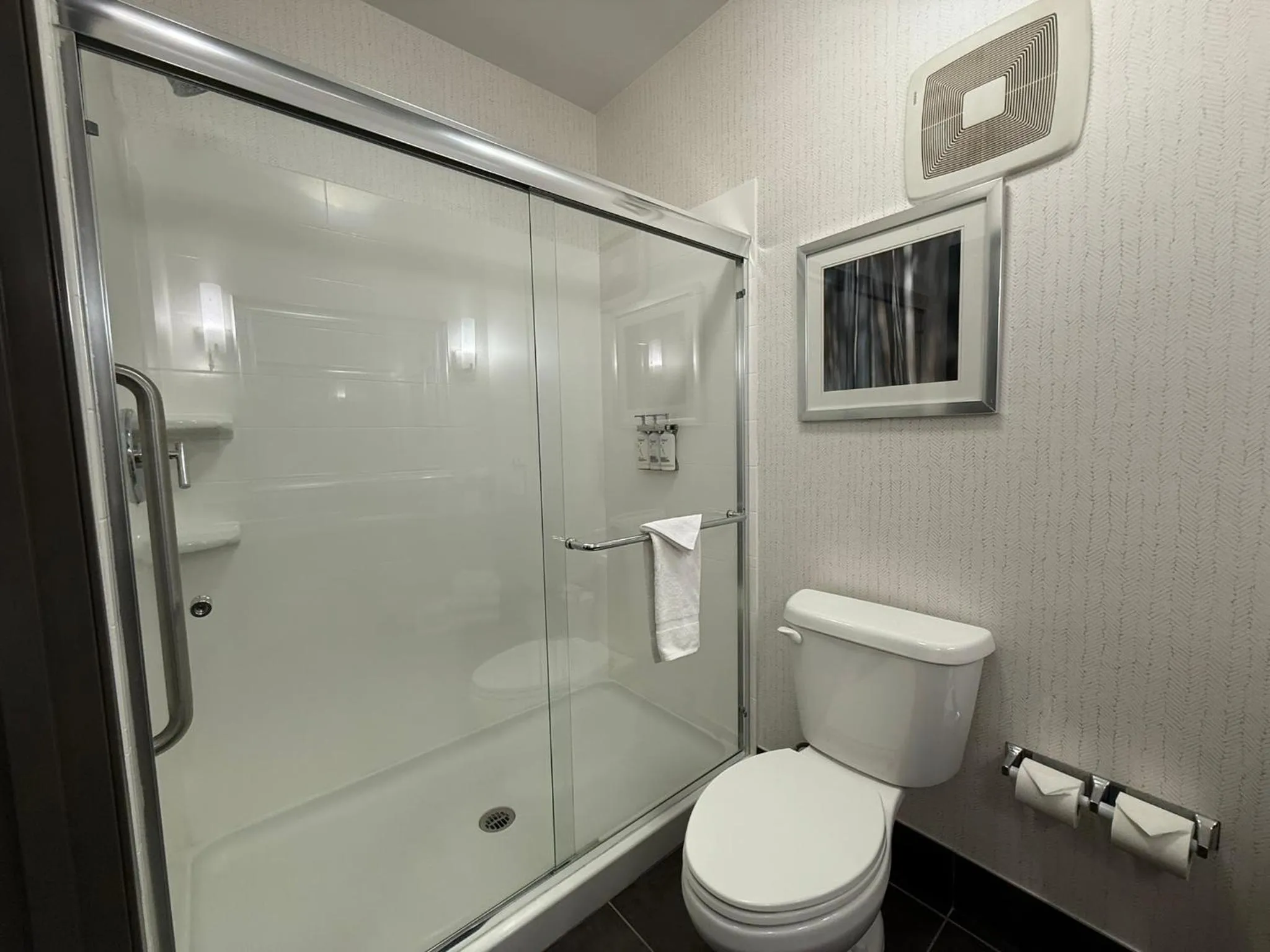 Shower in Holiday Inn Carlsbad/San Diego, an IHG Hotel