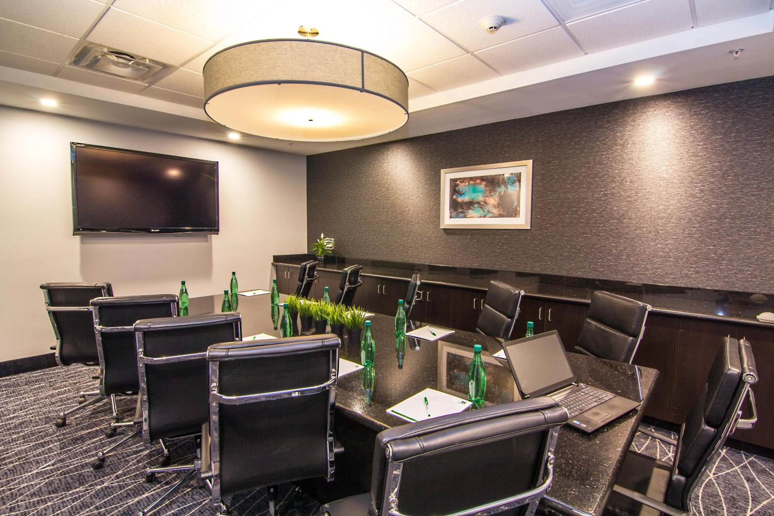 Meeting/conference room in Holiday Inn Carlsbad/San Diego, an IHG Hotel
