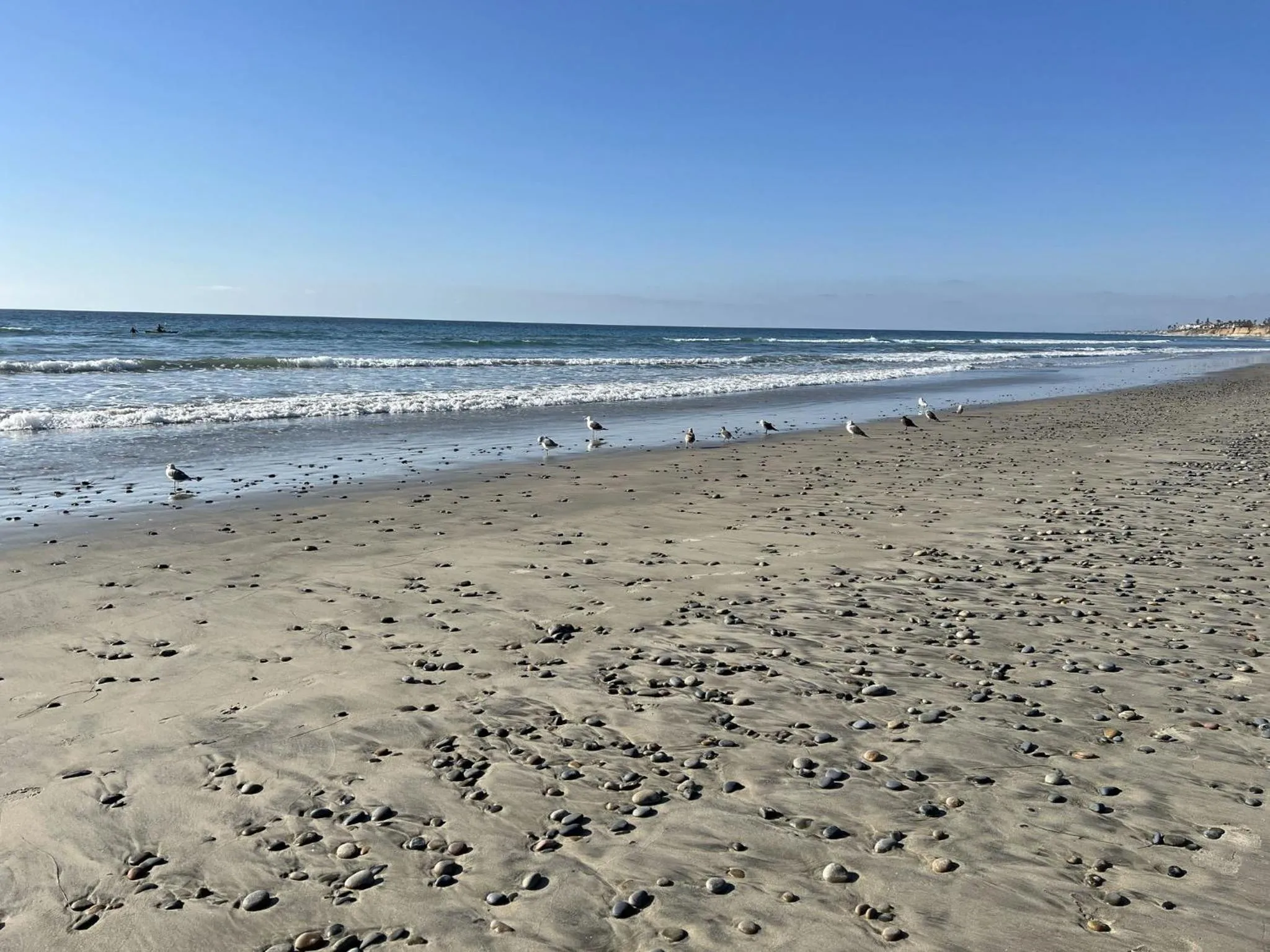 Nearby landmark in Holiday Inn Carlsbad/San Diego, an IHG Hotel