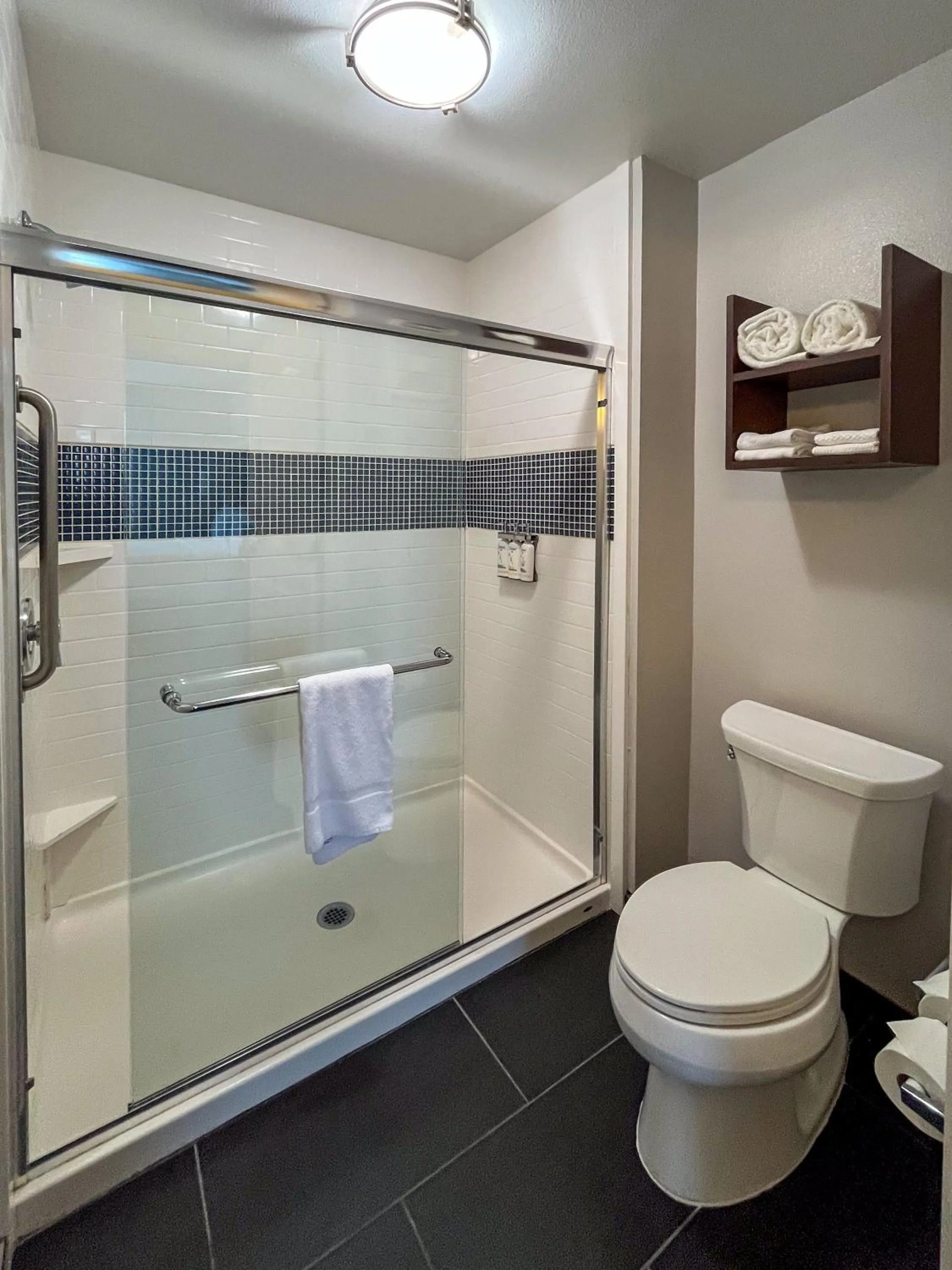 Shower in Staybridge Suites Carlsbad/San Diego by IHG