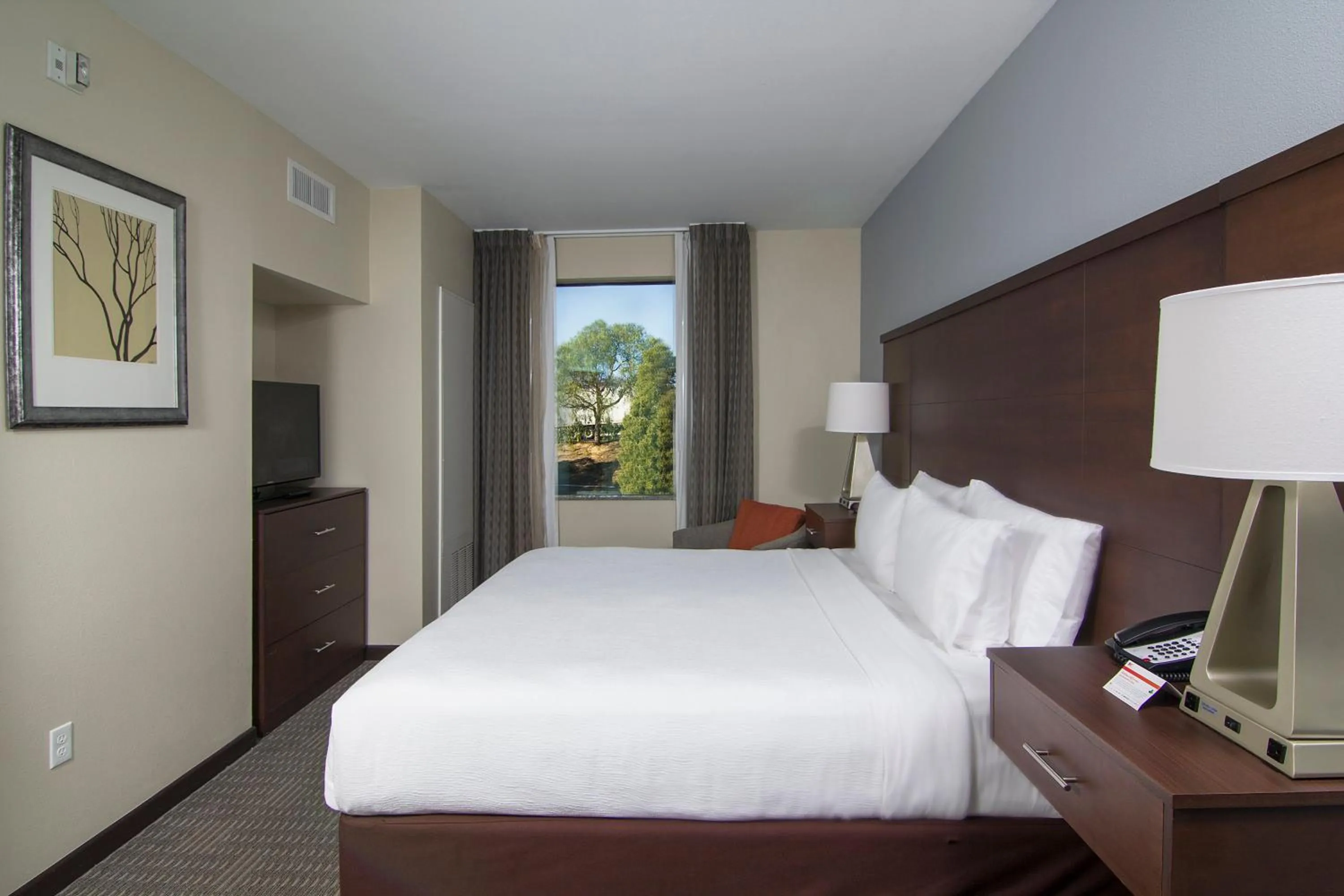 Photo of the whole room, Bed in Staybridge Suites Carlsbad/San Diego by IHG