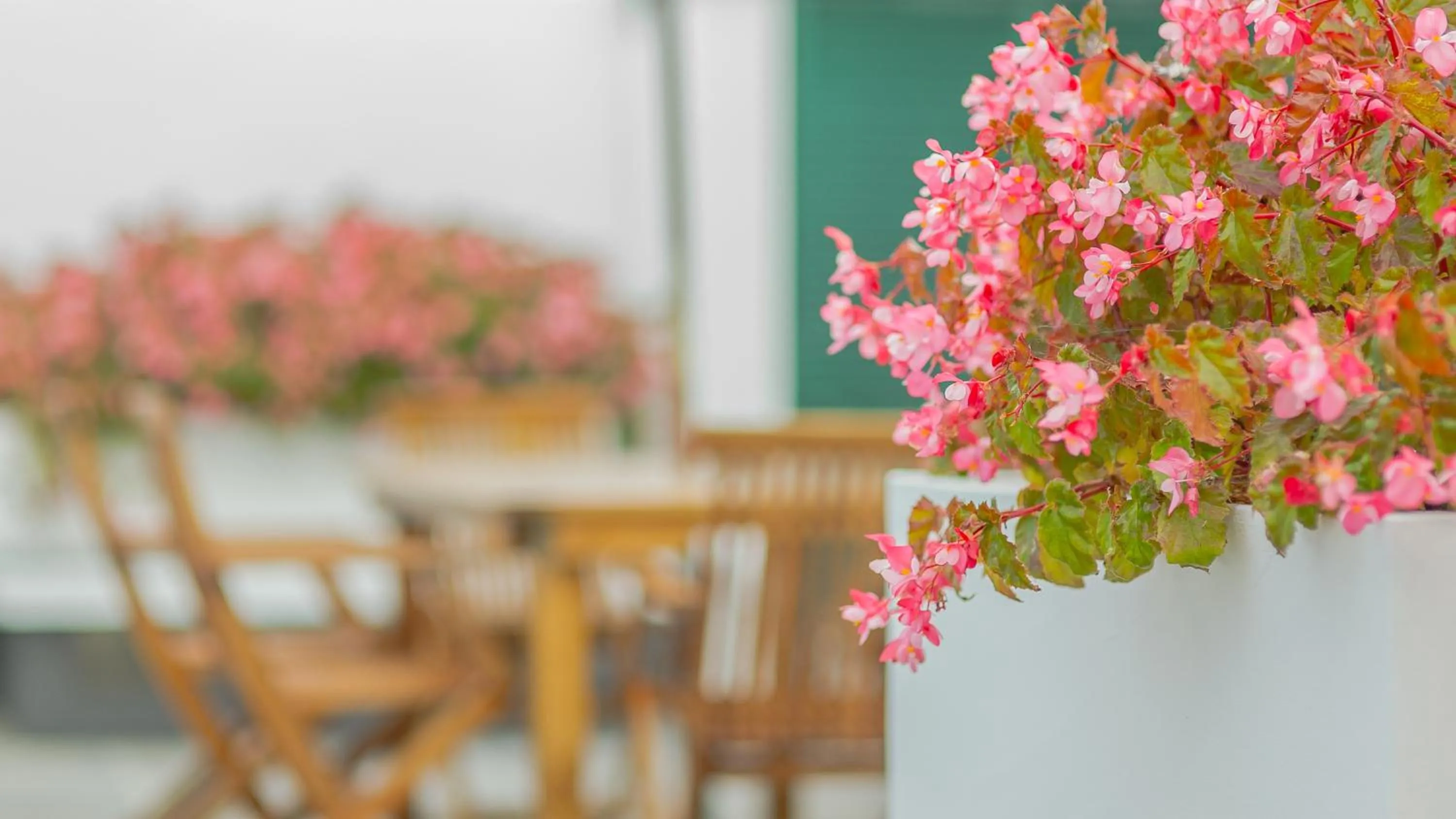 Patio in Comercial Boutique Guest House