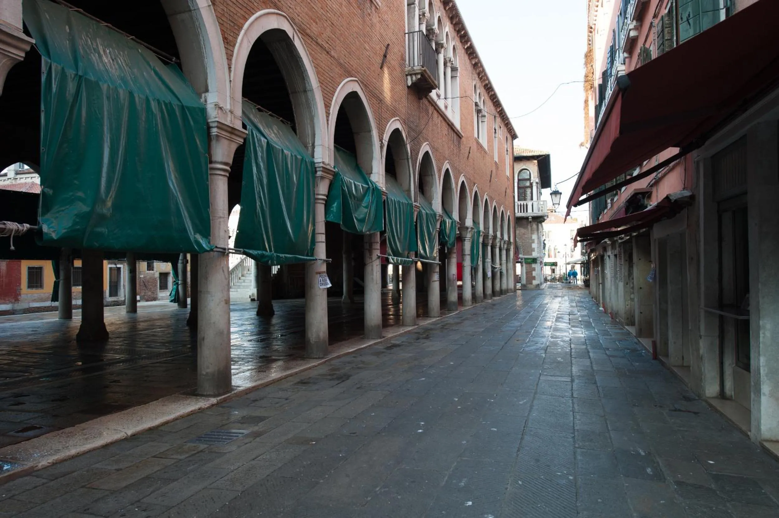 Day in The Lion's House APT2