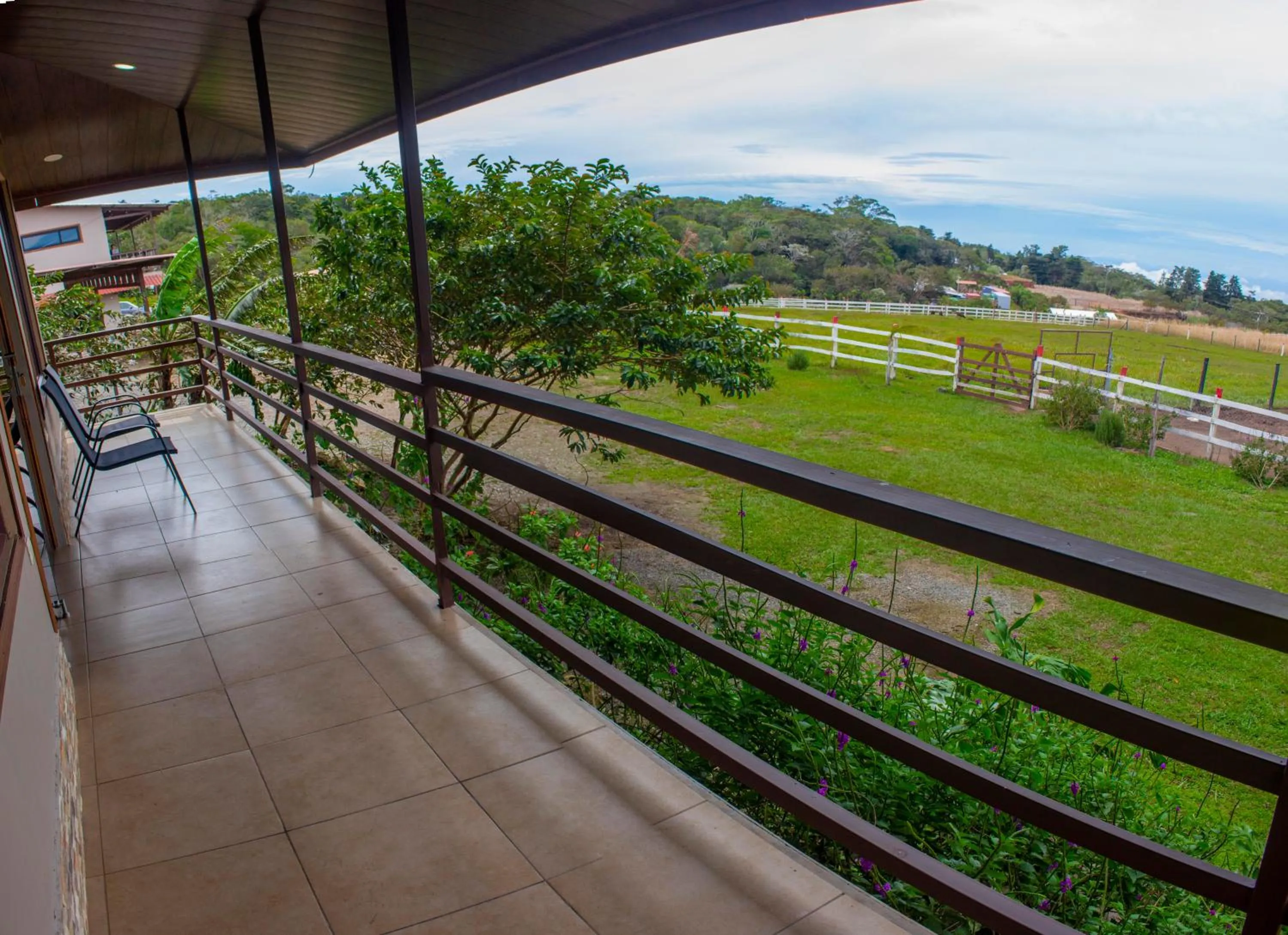Balcony/Terrace in Hotel Almore