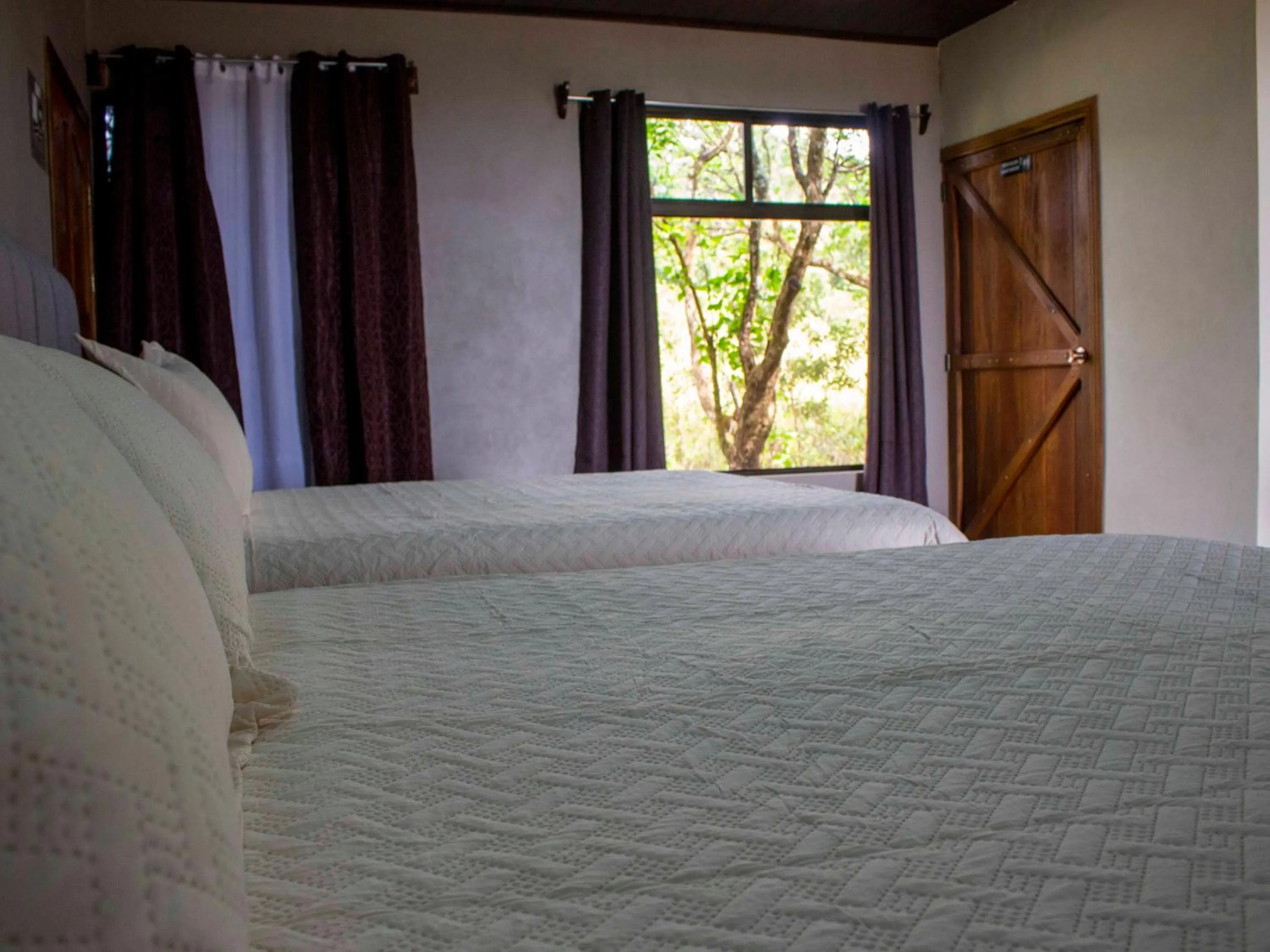 Photo of the whole room, Bed in Hotel Almore