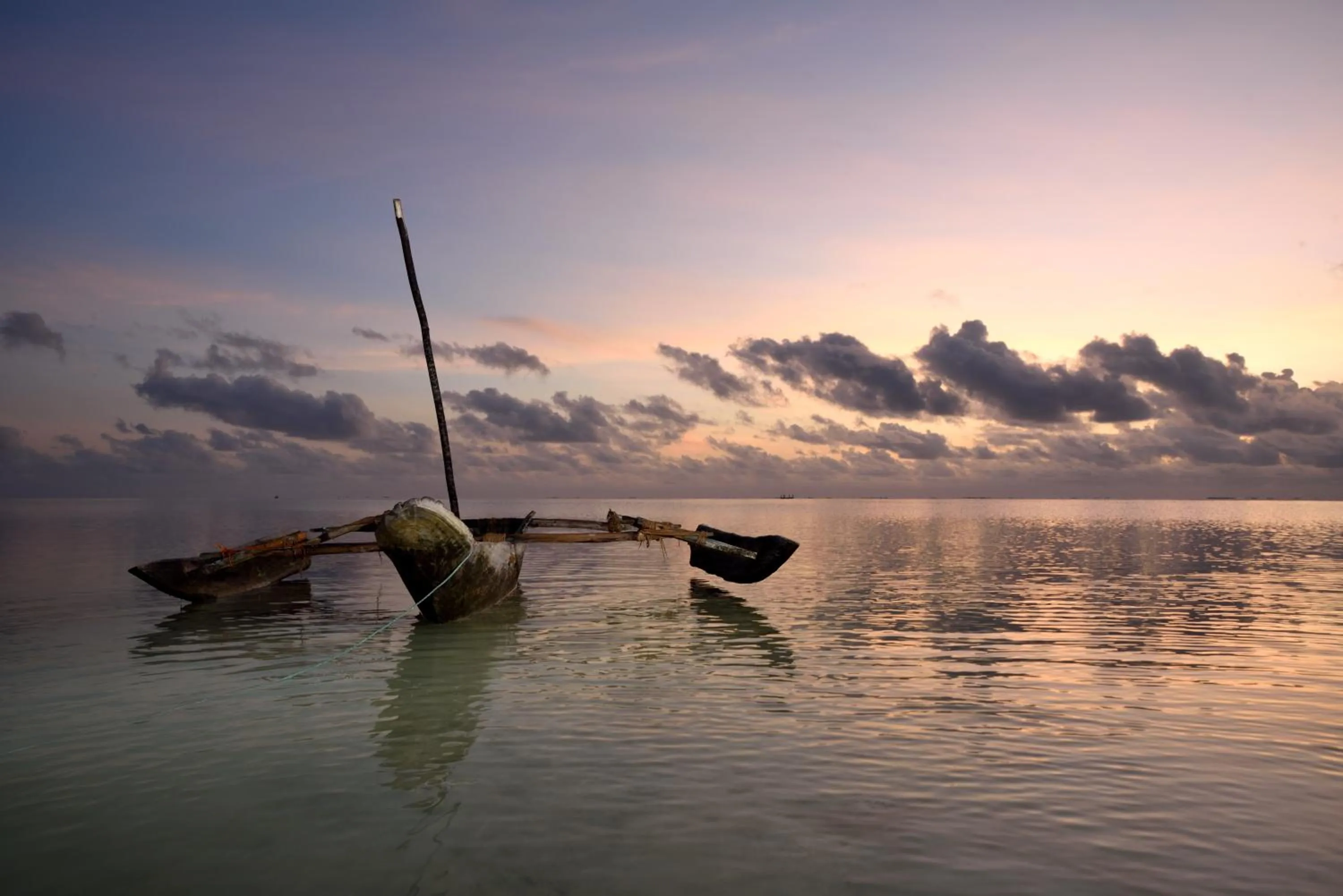 Natural landscape in Indigo Beach Zanzibar