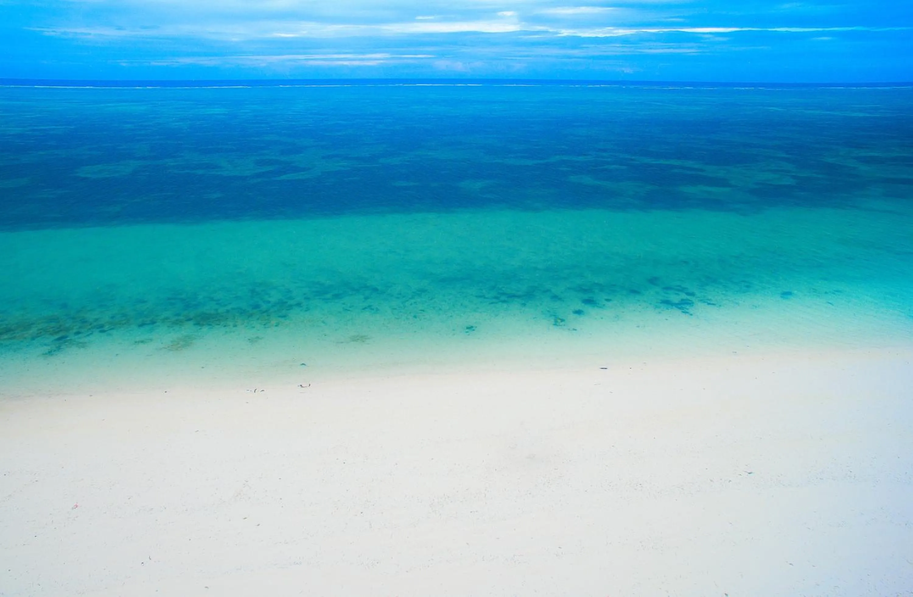 Natural landscape in Indigo Beach Zanzibar