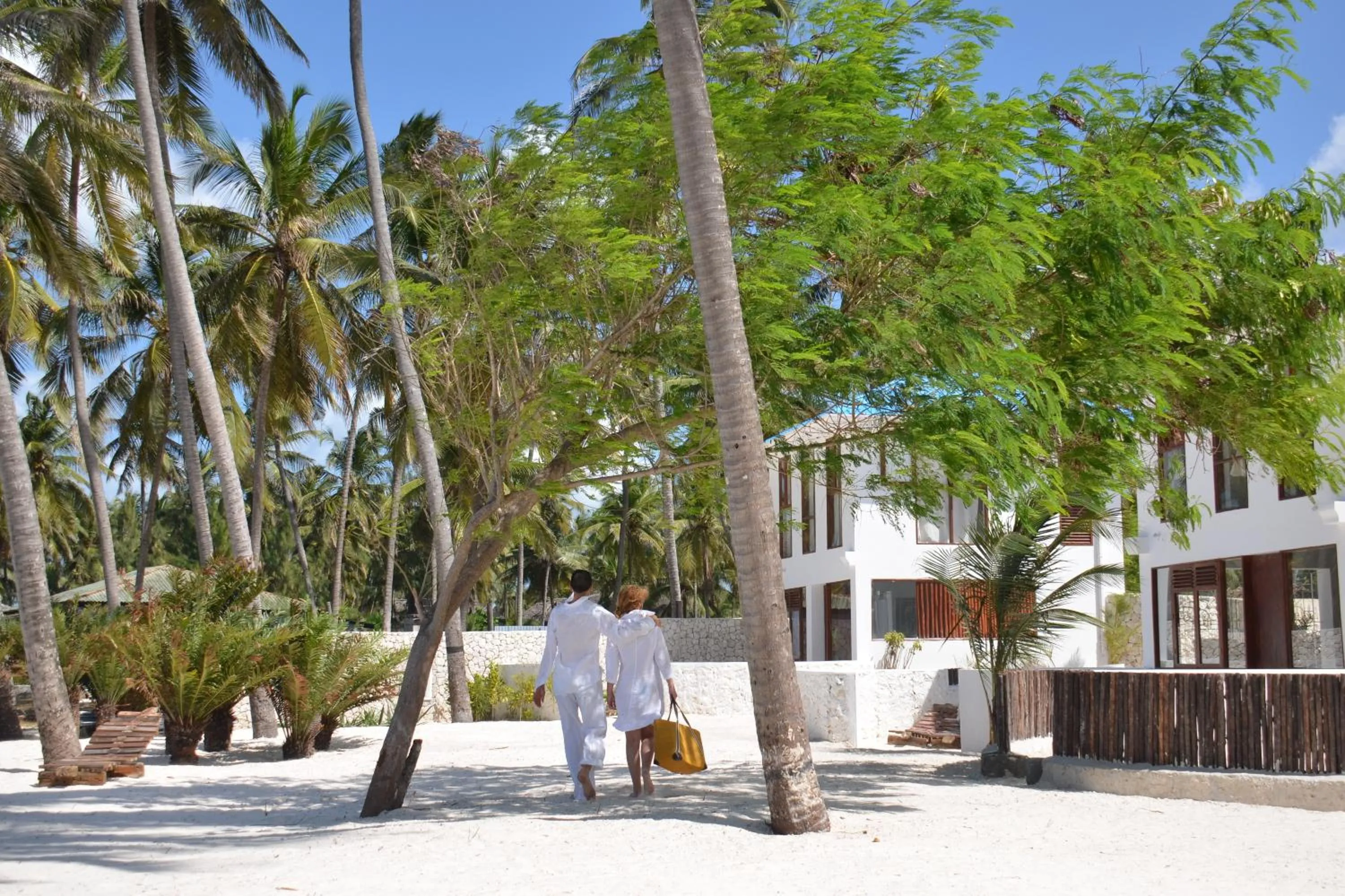 Day in Indigo Beach Zanzibar