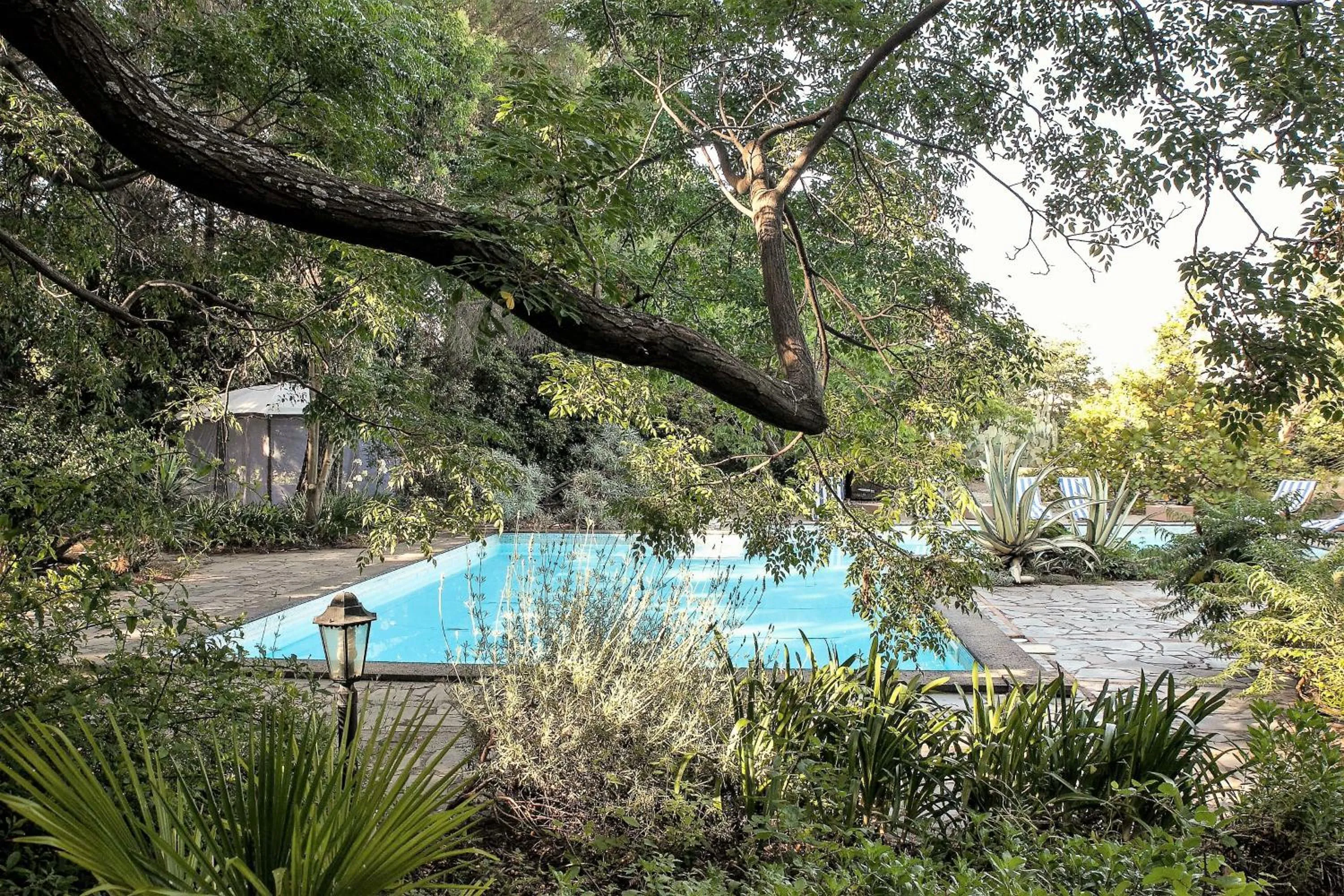 Swimming pool in Etna Botanic Garden
