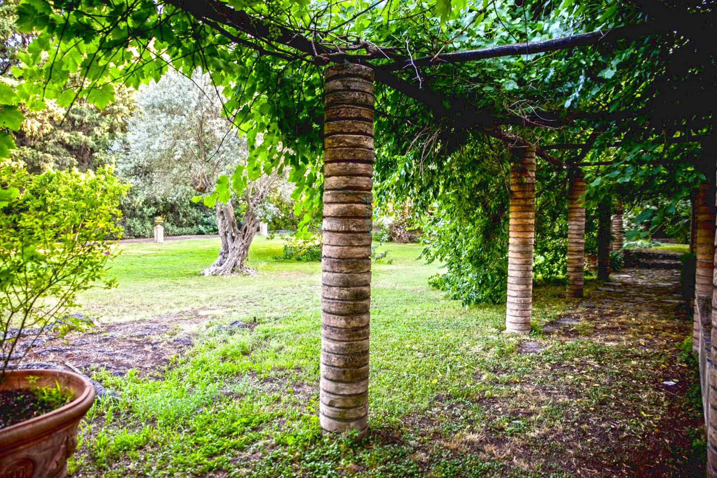 Garden in Etna Botanic Garden