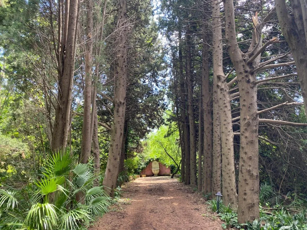Garden in Etna Botanic Garden