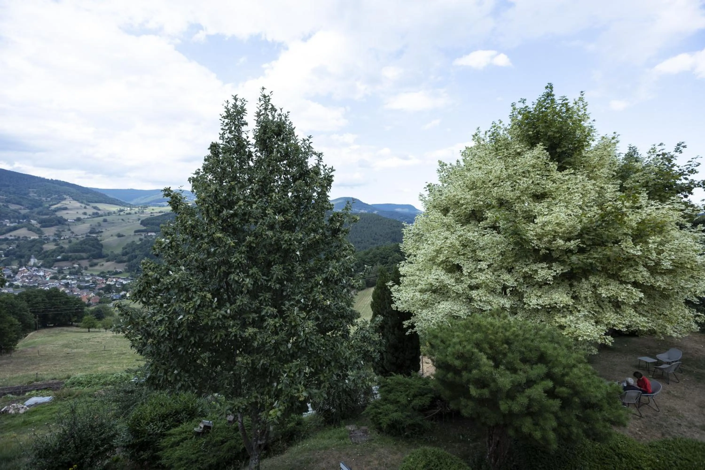 Hôtel Restaurant Les Alisiers