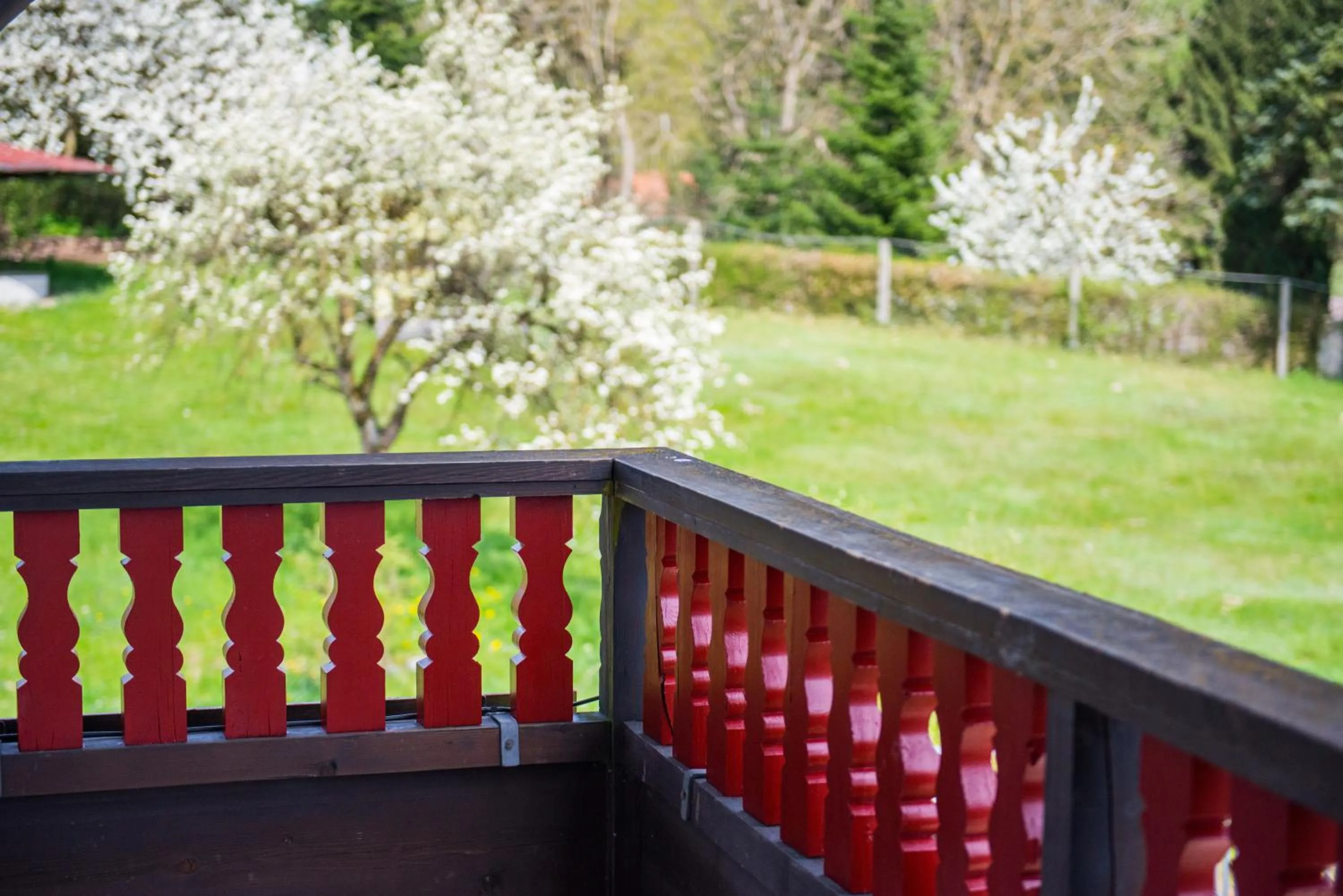 Balcony/Terrace in Wellnesshotel Zum Koch
