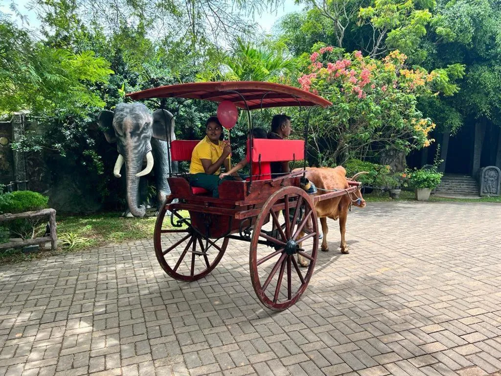 group of guests in Hotel Royal Grand Paradise